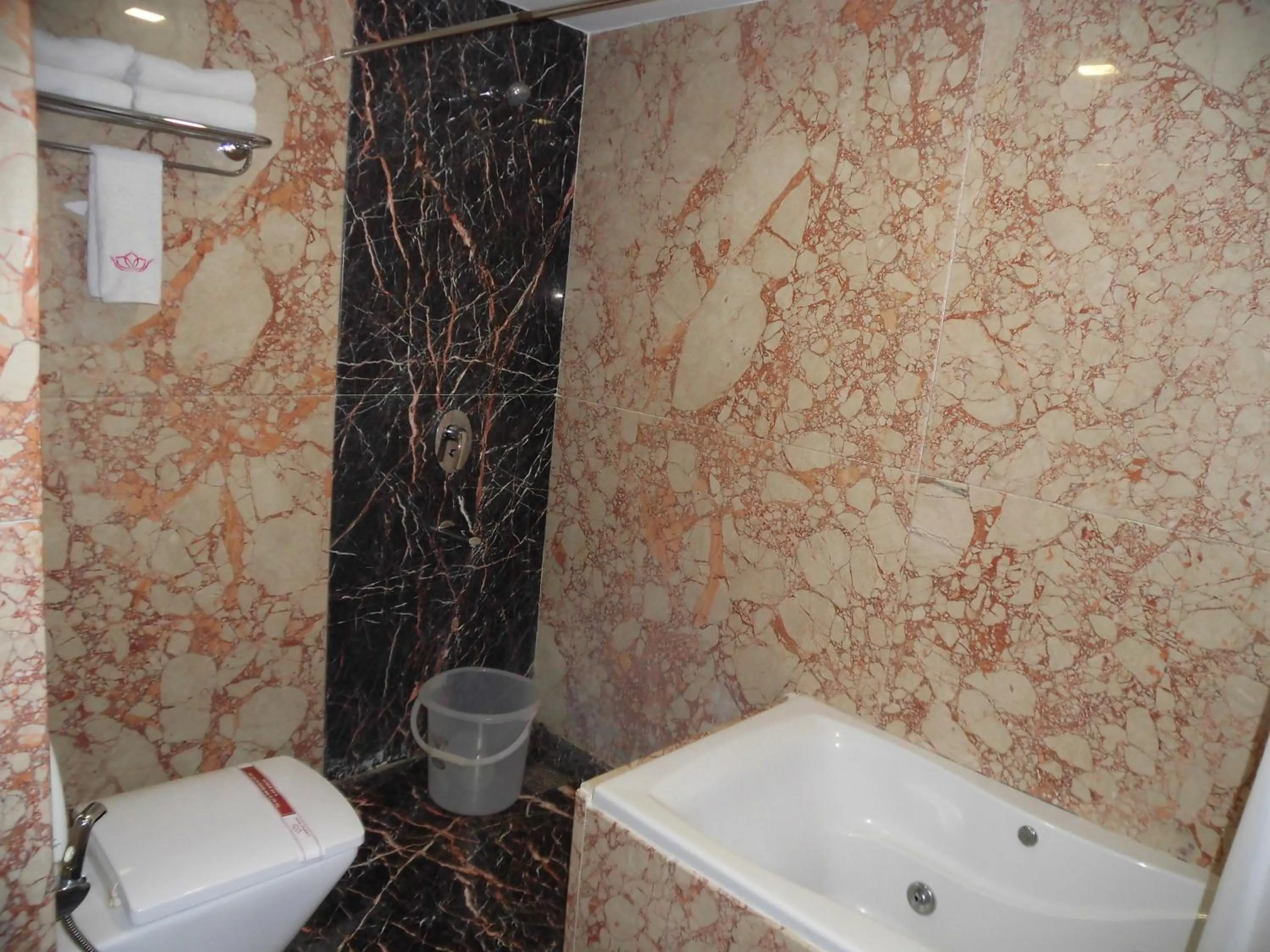 Shower in Lakshmi Hotel