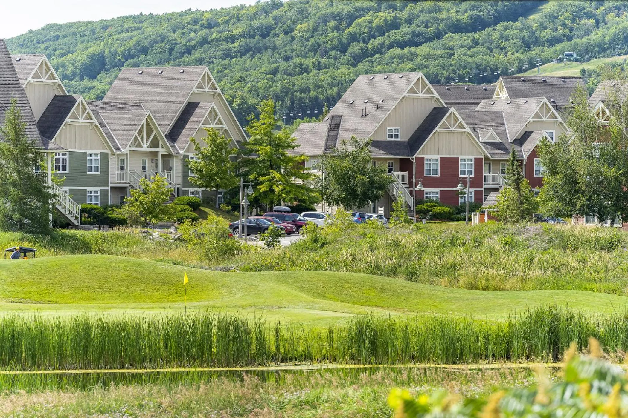 Area and facilities in Blue View 5 Chalet