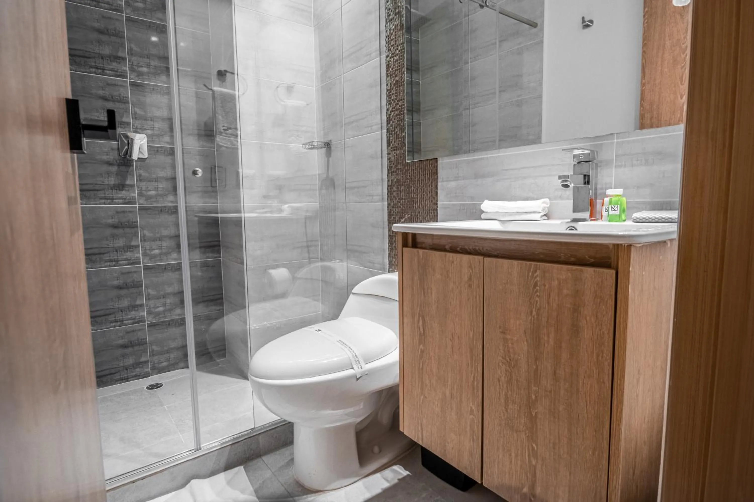 Shower in Hotel Plaza Doce