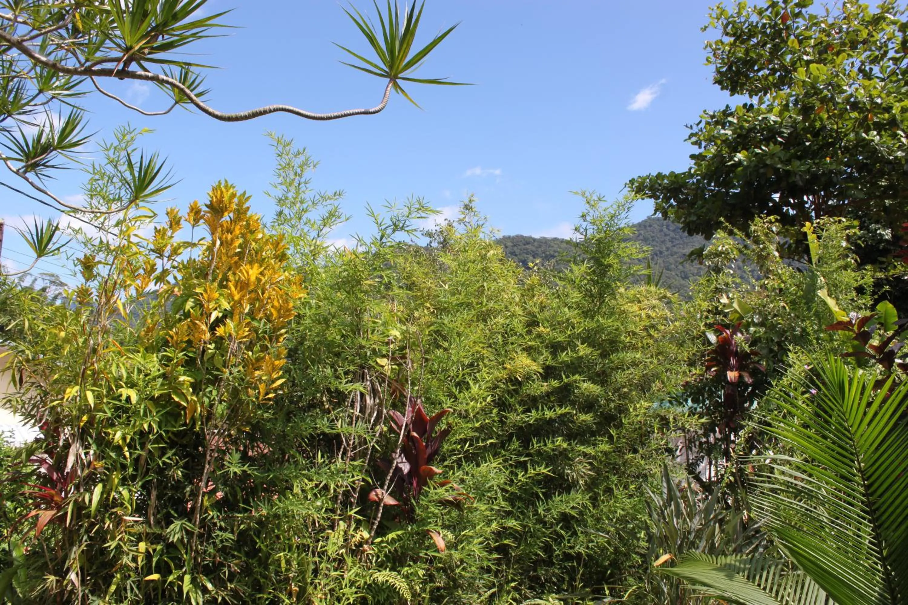 Natural landscape in Piscina climatizada, jacuzzi e com grande área verde