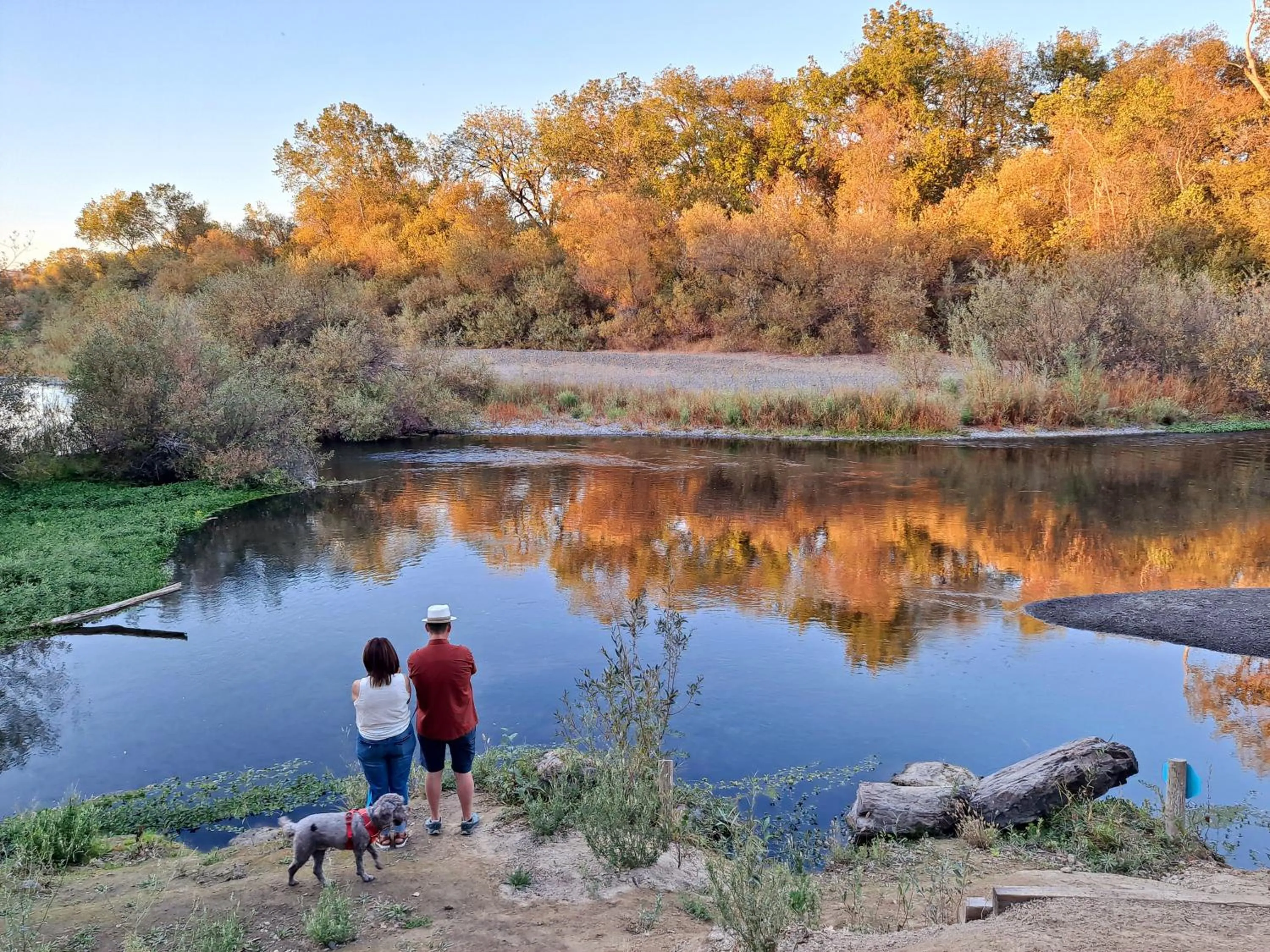 Natural landscape in Wildhaven Sonoma Glamping