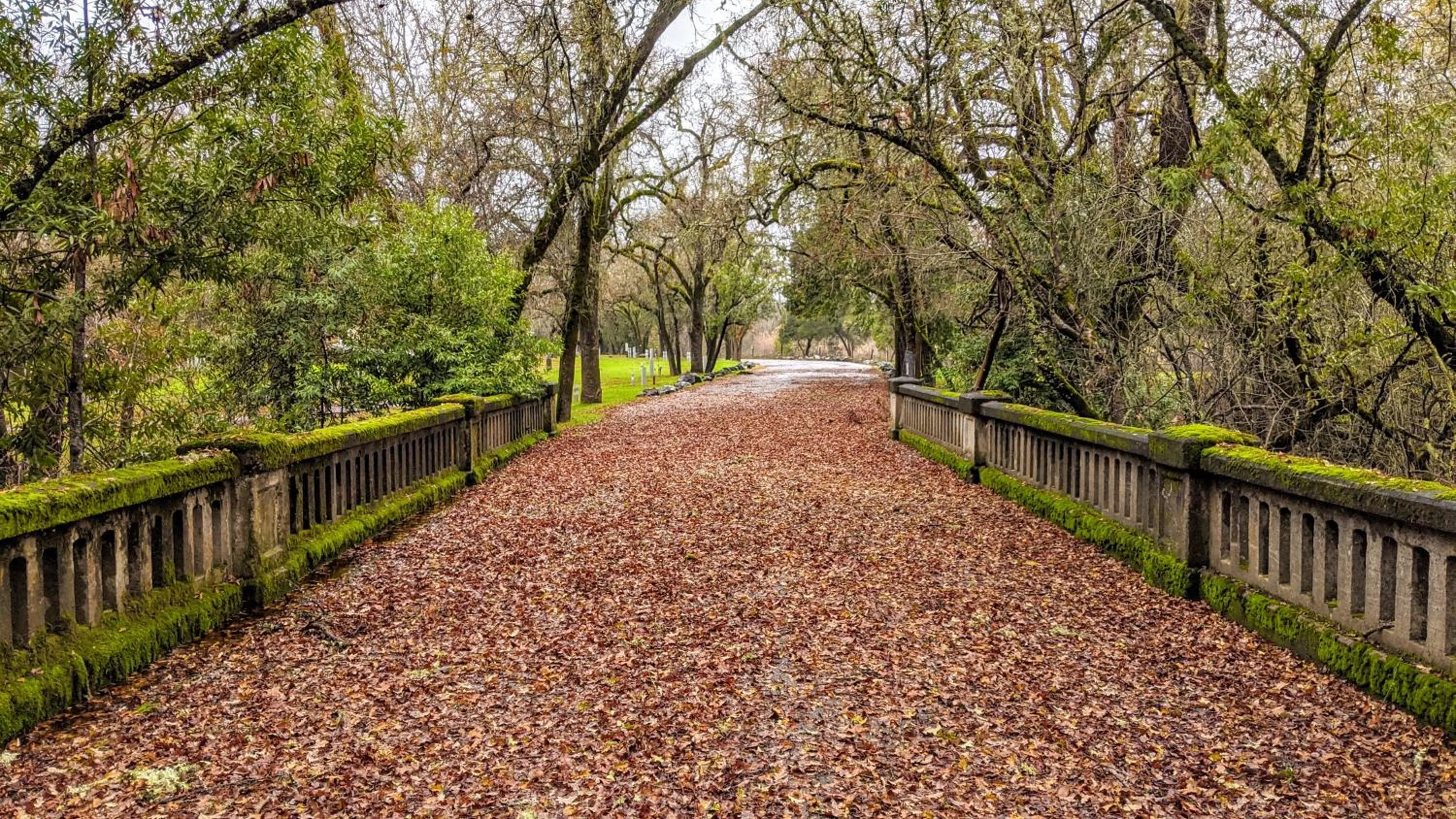 View (from property/room) in Wildhaven Sonoma Glamping