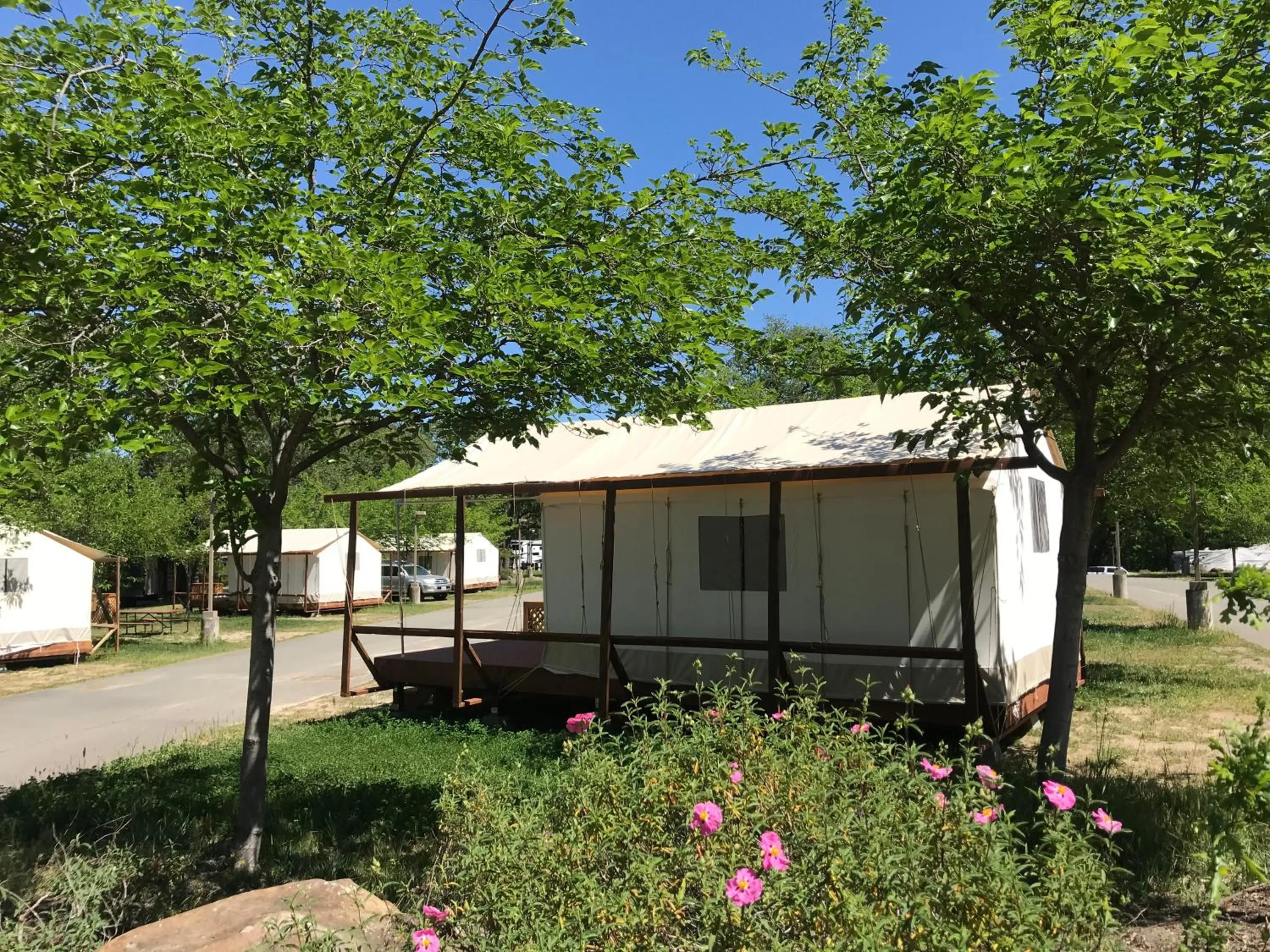 Spring in Wildhaven Sonoma Glamping