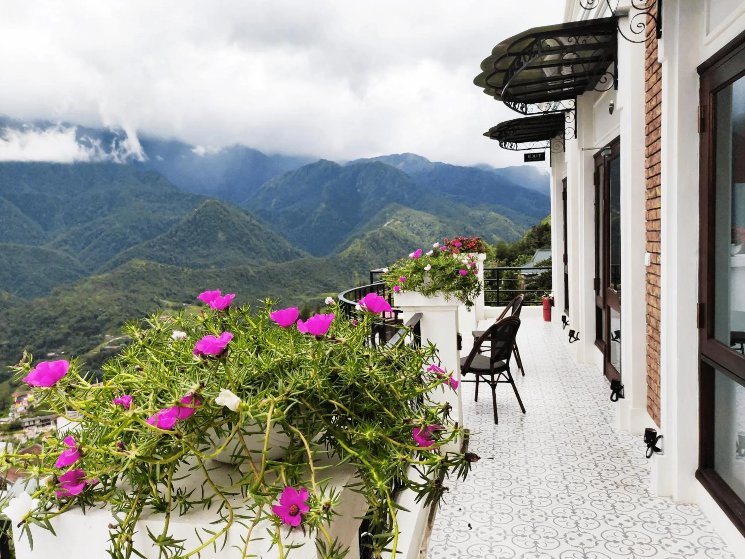 Cat Cat Galerie d’Art