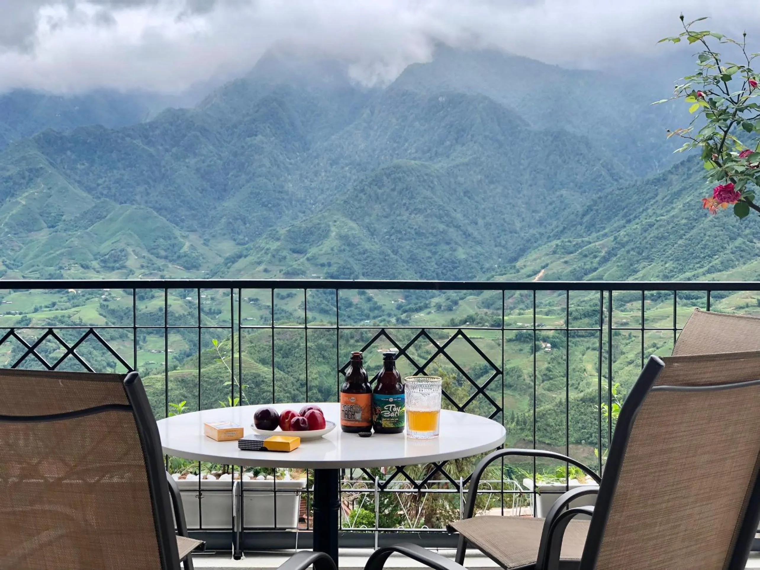 Restaurant/places to eat in Cat Cat Galerie d’Art