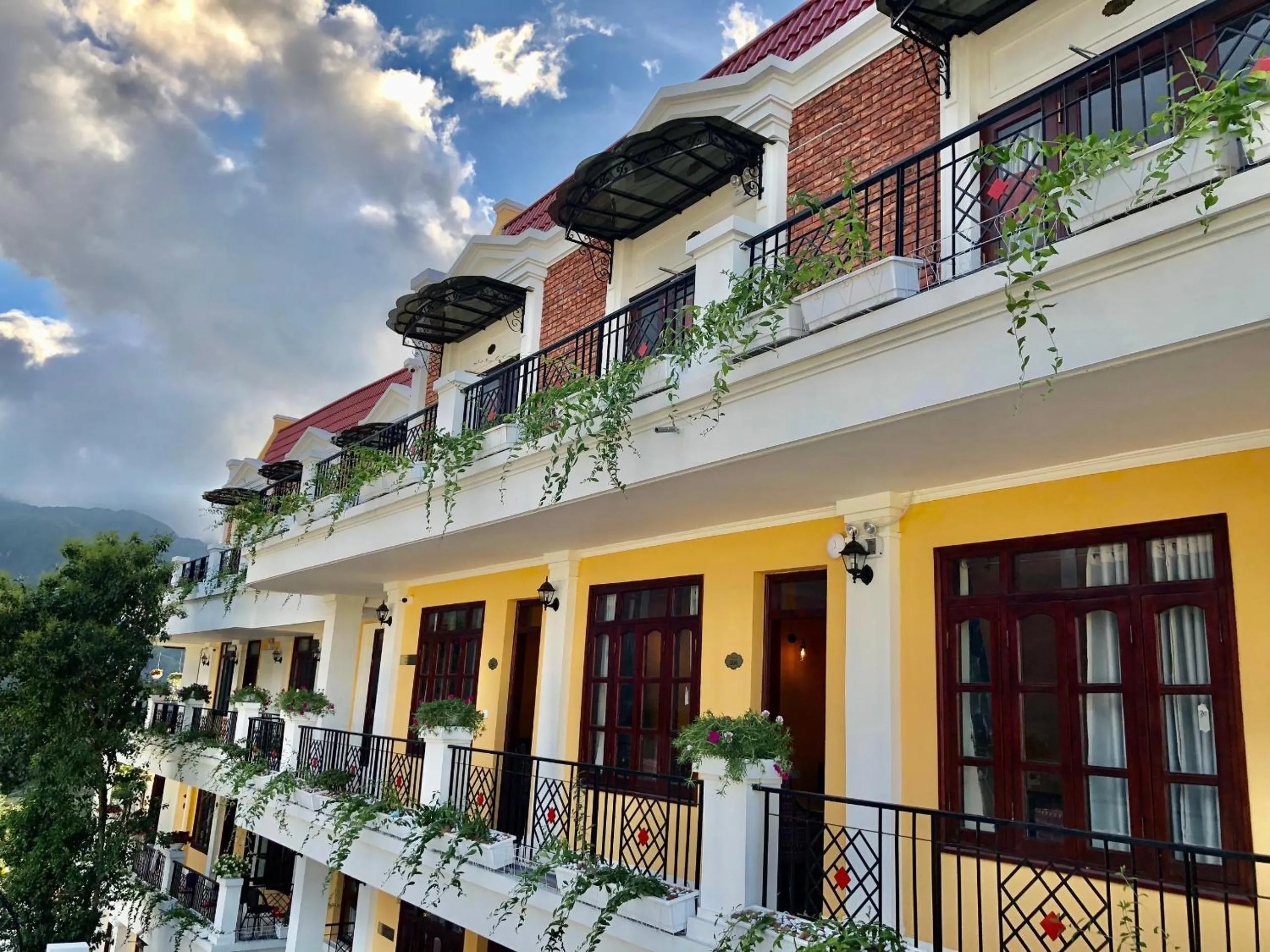 Cat Cat Galerie d’Art