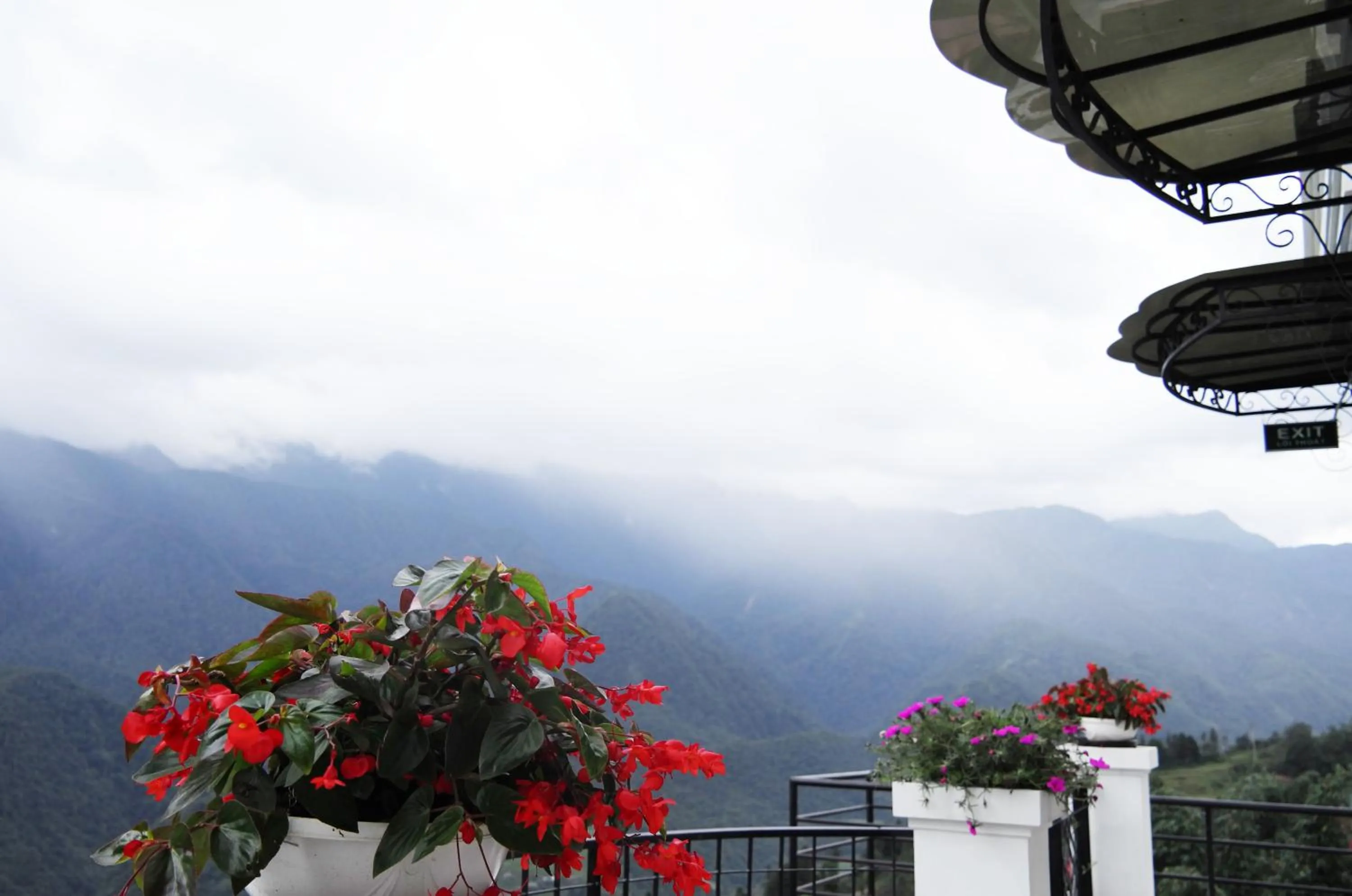 Cat Cat Galerie d’Art