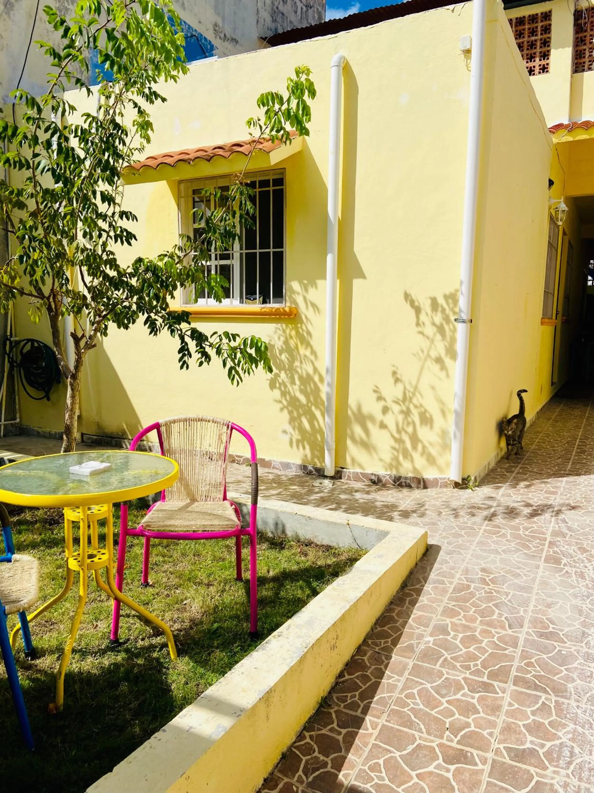 Garden in Casa Kini en Cancún