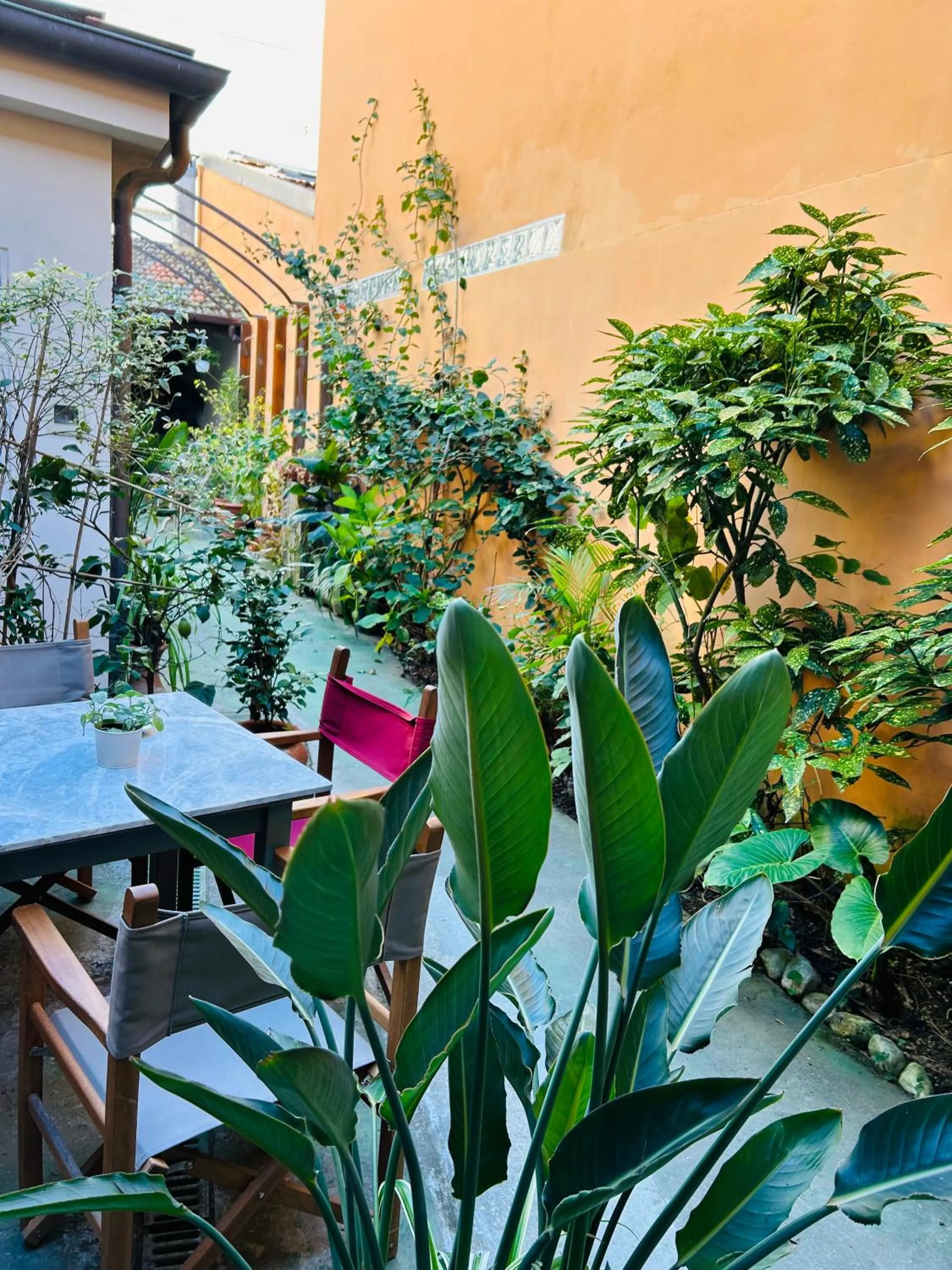 Garden in Art Hotel Pietrasanta