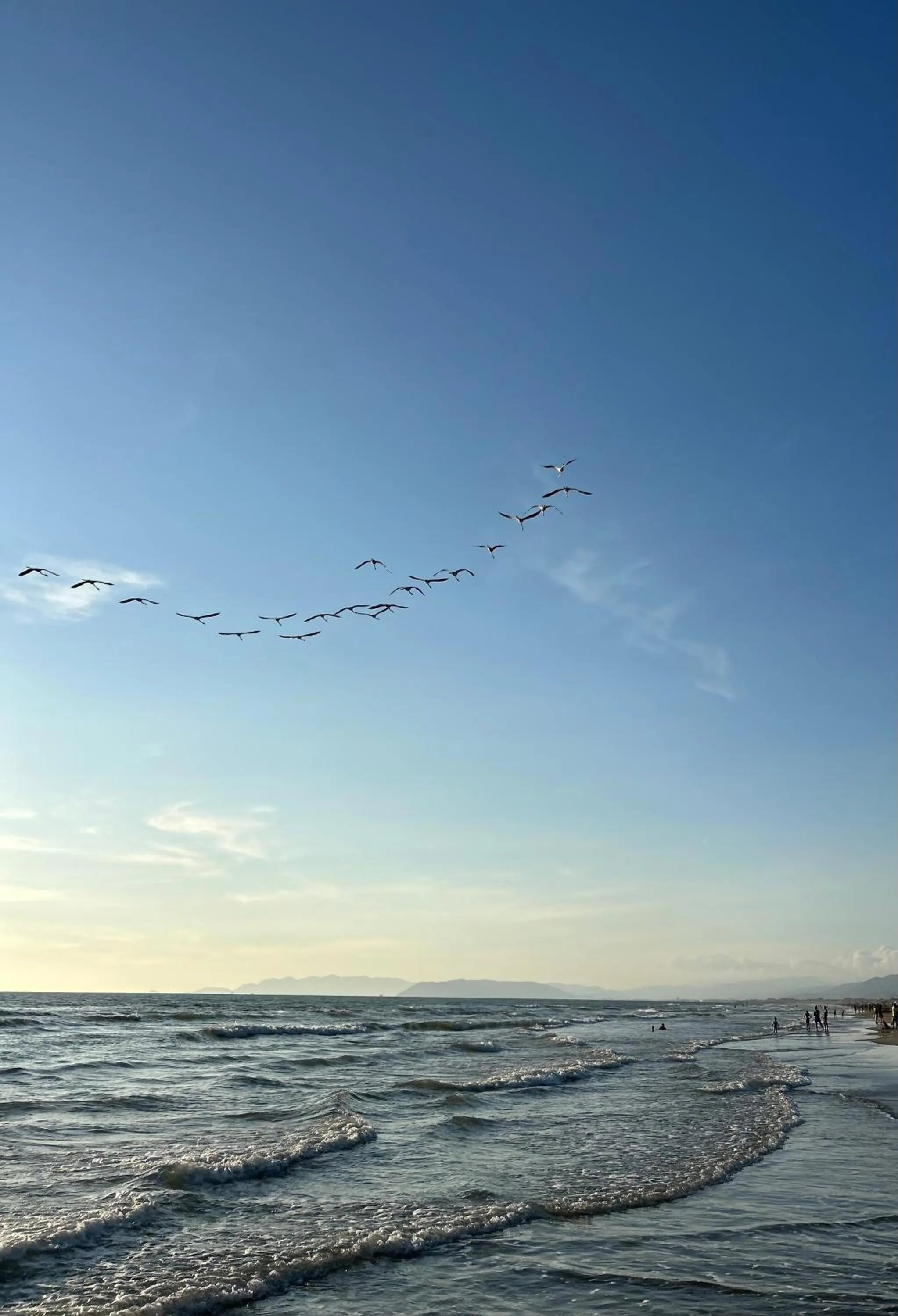 Natural landscape in Art Hotel Pietrasanta
