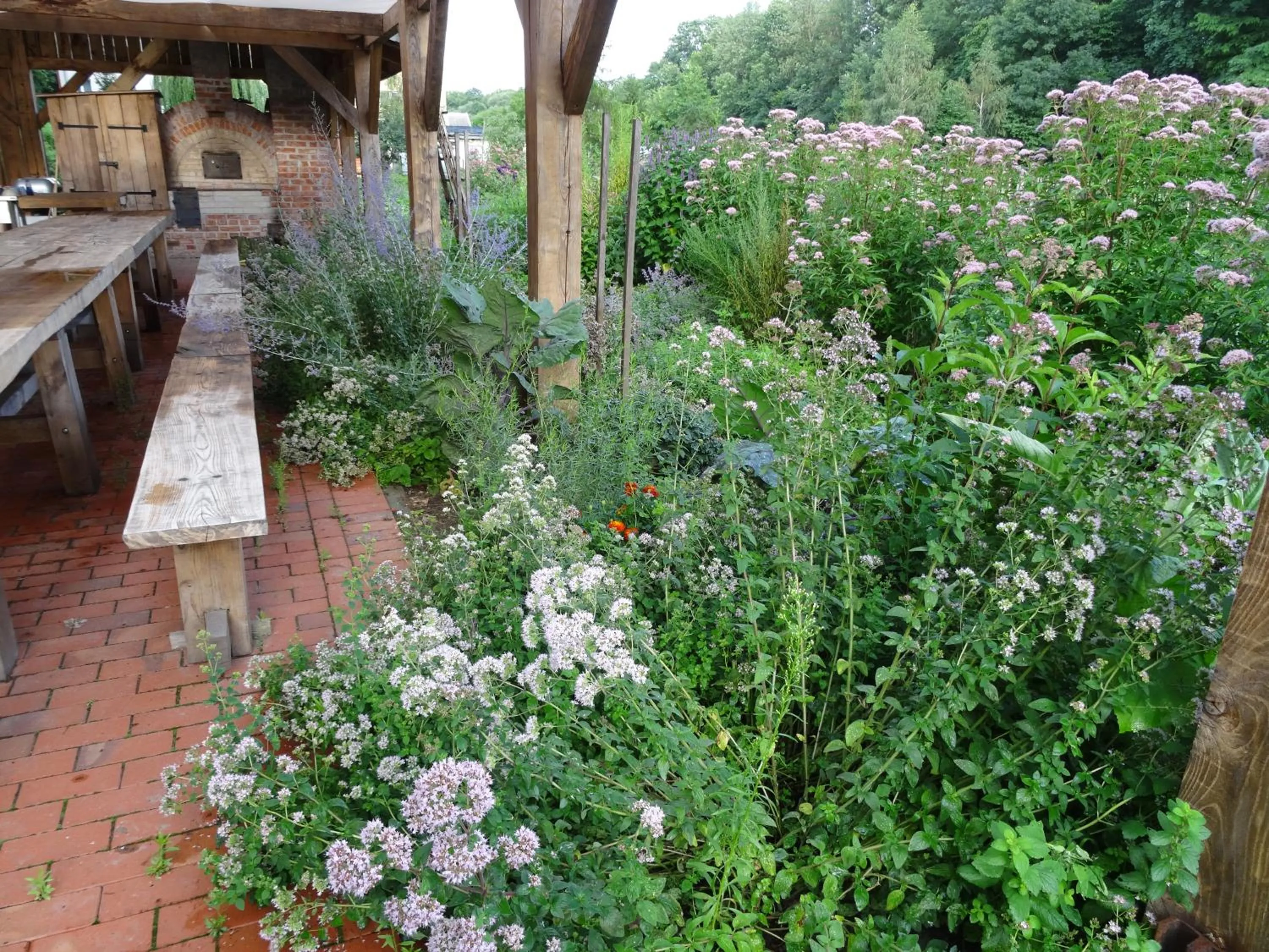 Natural landscape in Pałac Cieleśnica