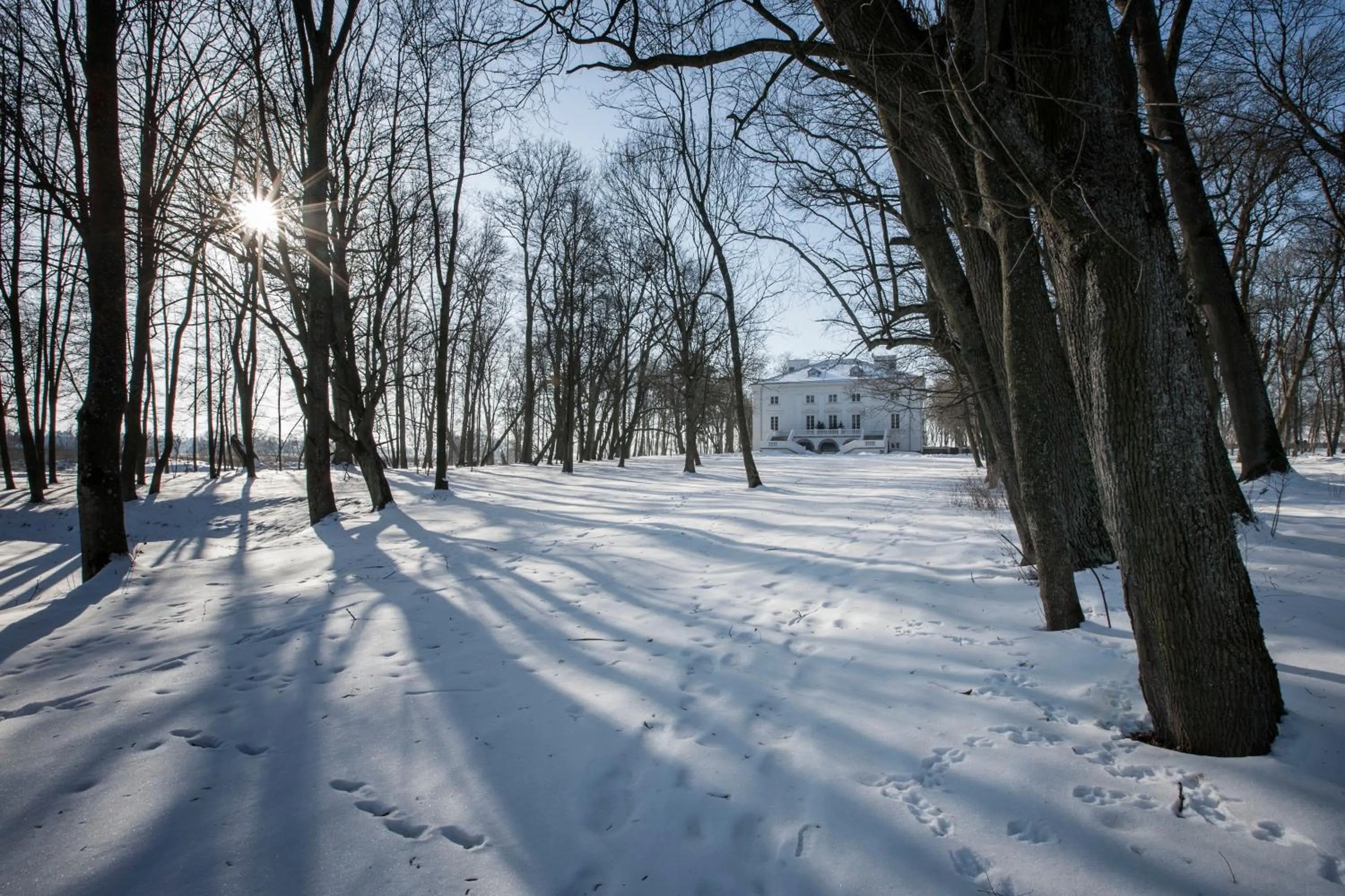 Property building in Pałac Cieleśnica