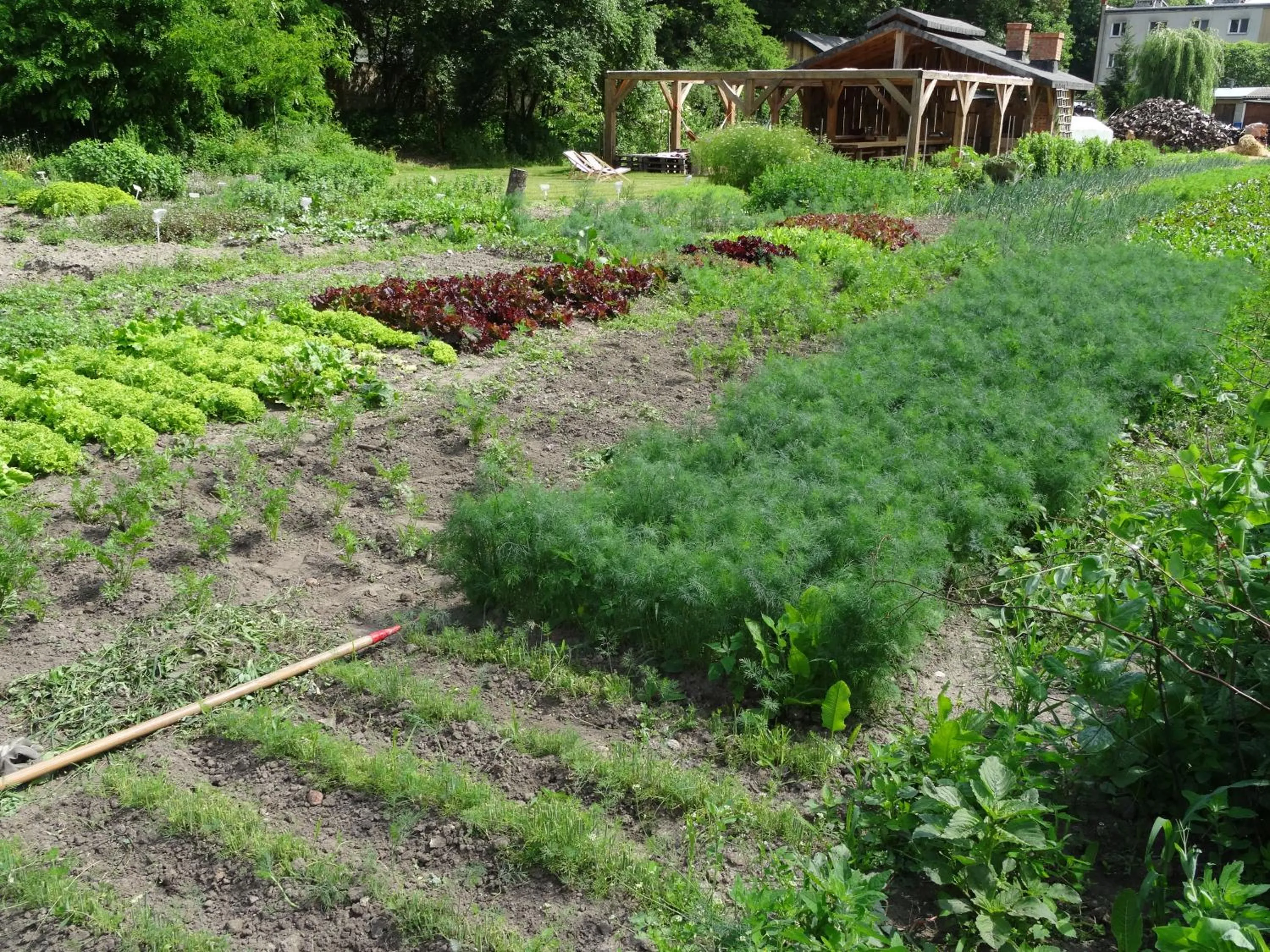Natural landscape in Pałac Cieleśnica