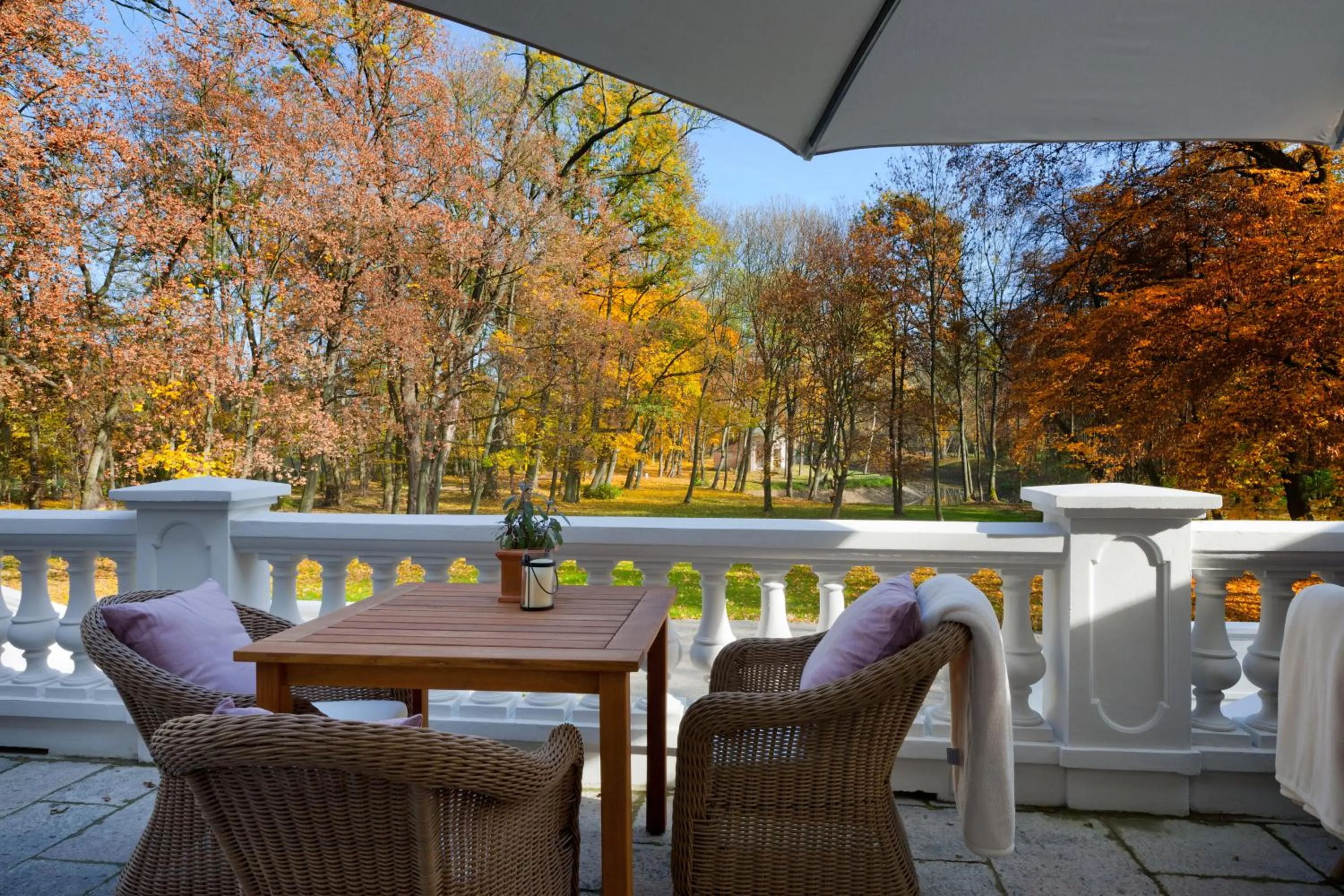 Balcony/Terrace in Pałac Cieleśnica