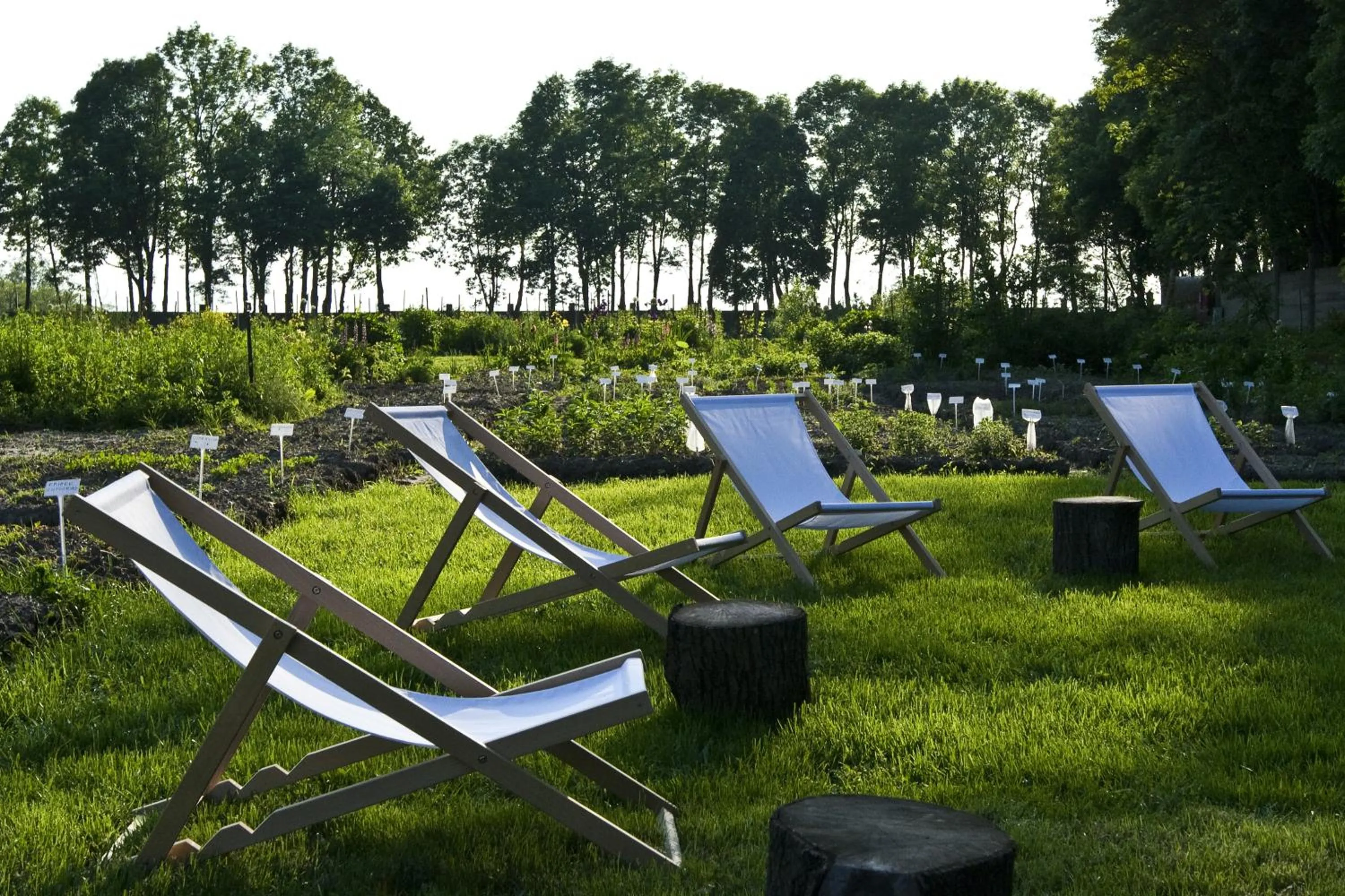 Summer in Pałac Cieleśnica