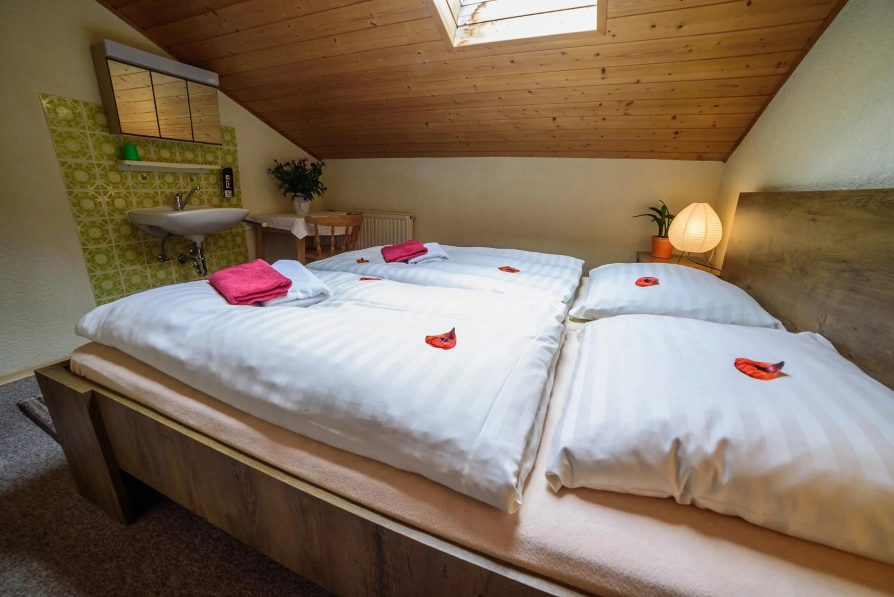 Double Room with Shared Bathroom - single occupancy in Pension Arberwald