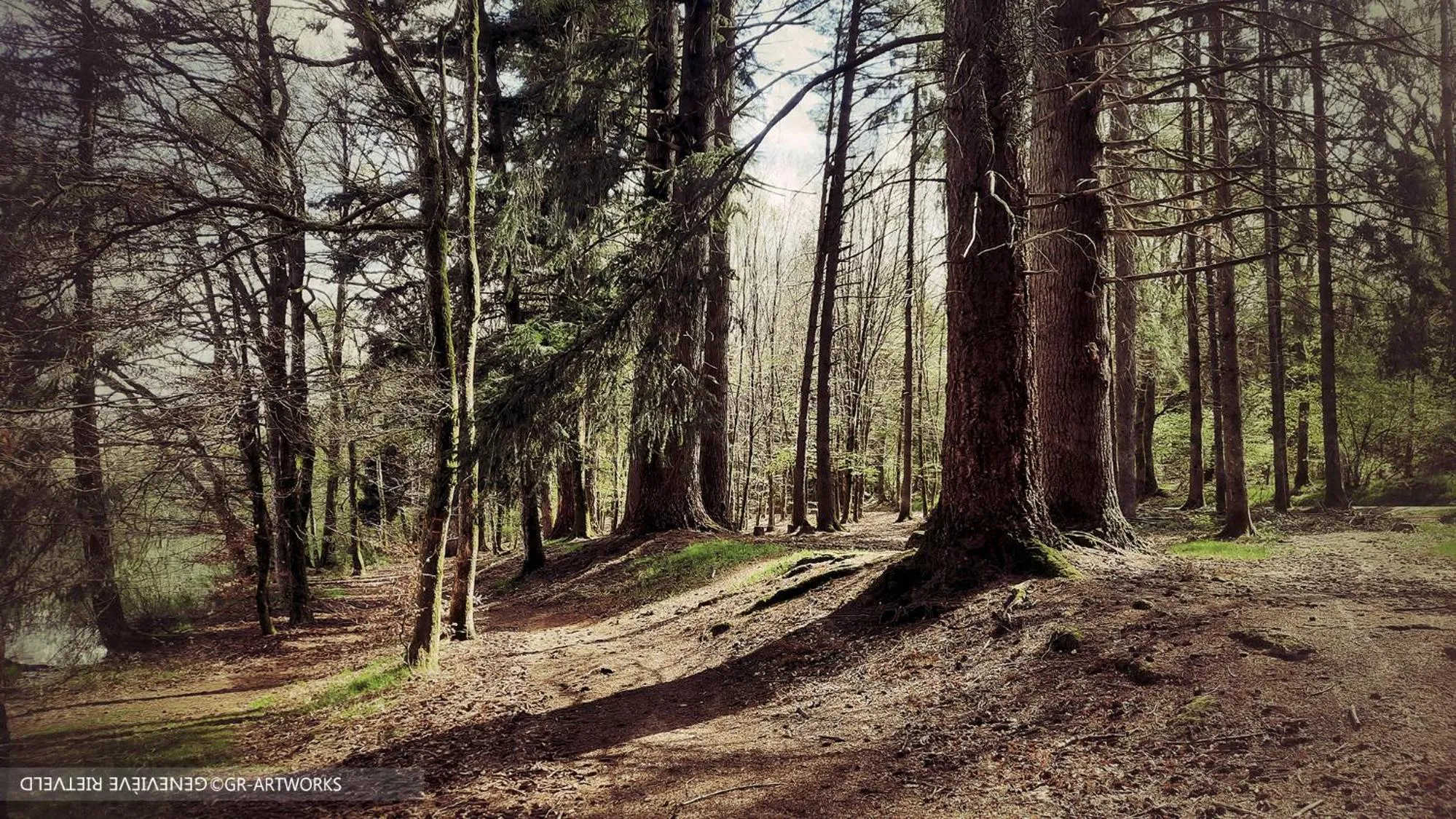 Chambre d'hôte Le Châtaignier