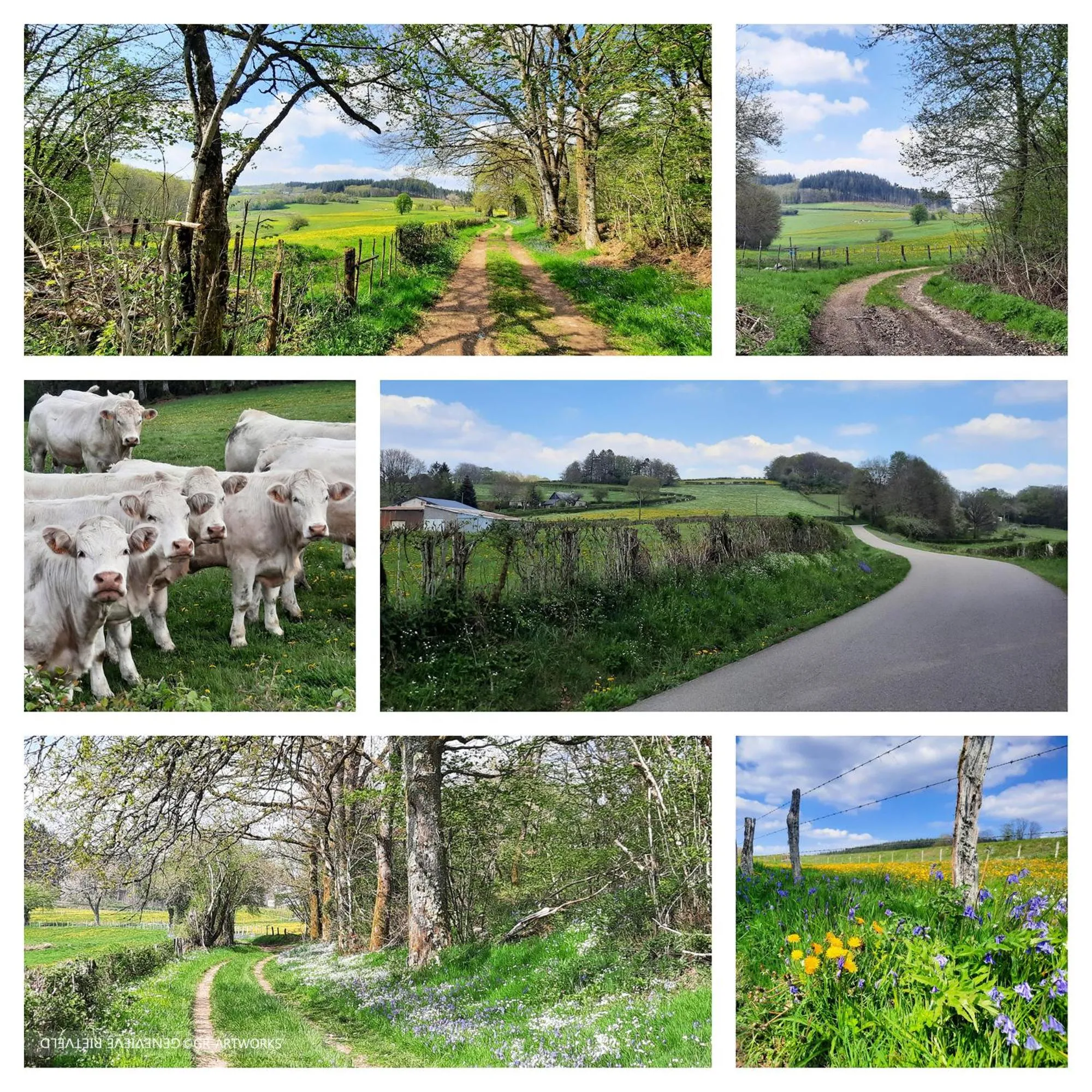 Chambre d'hôte Le Châtaignier