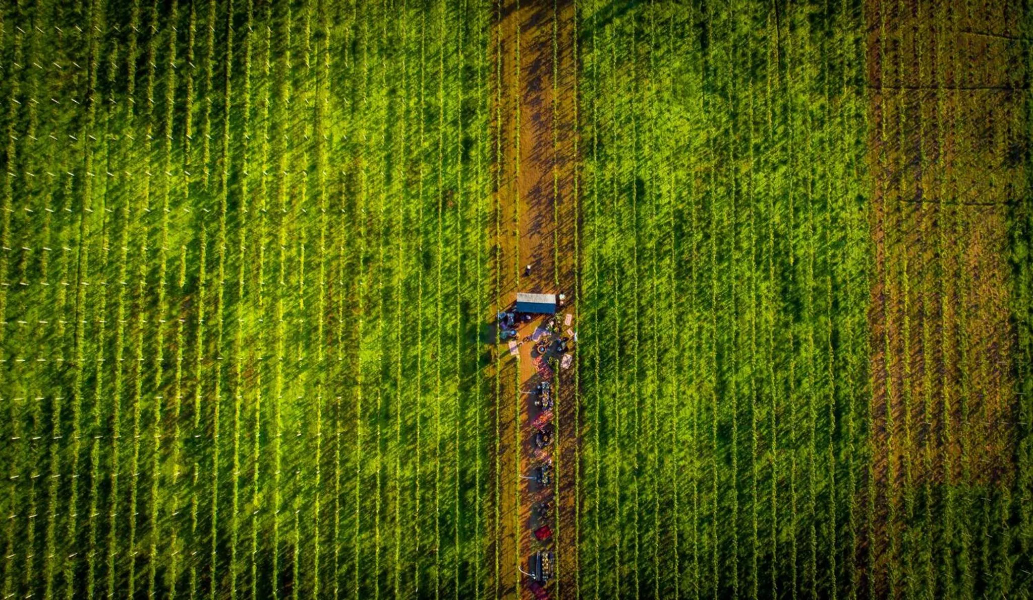 Garden in Hotel Chateau Kvirike