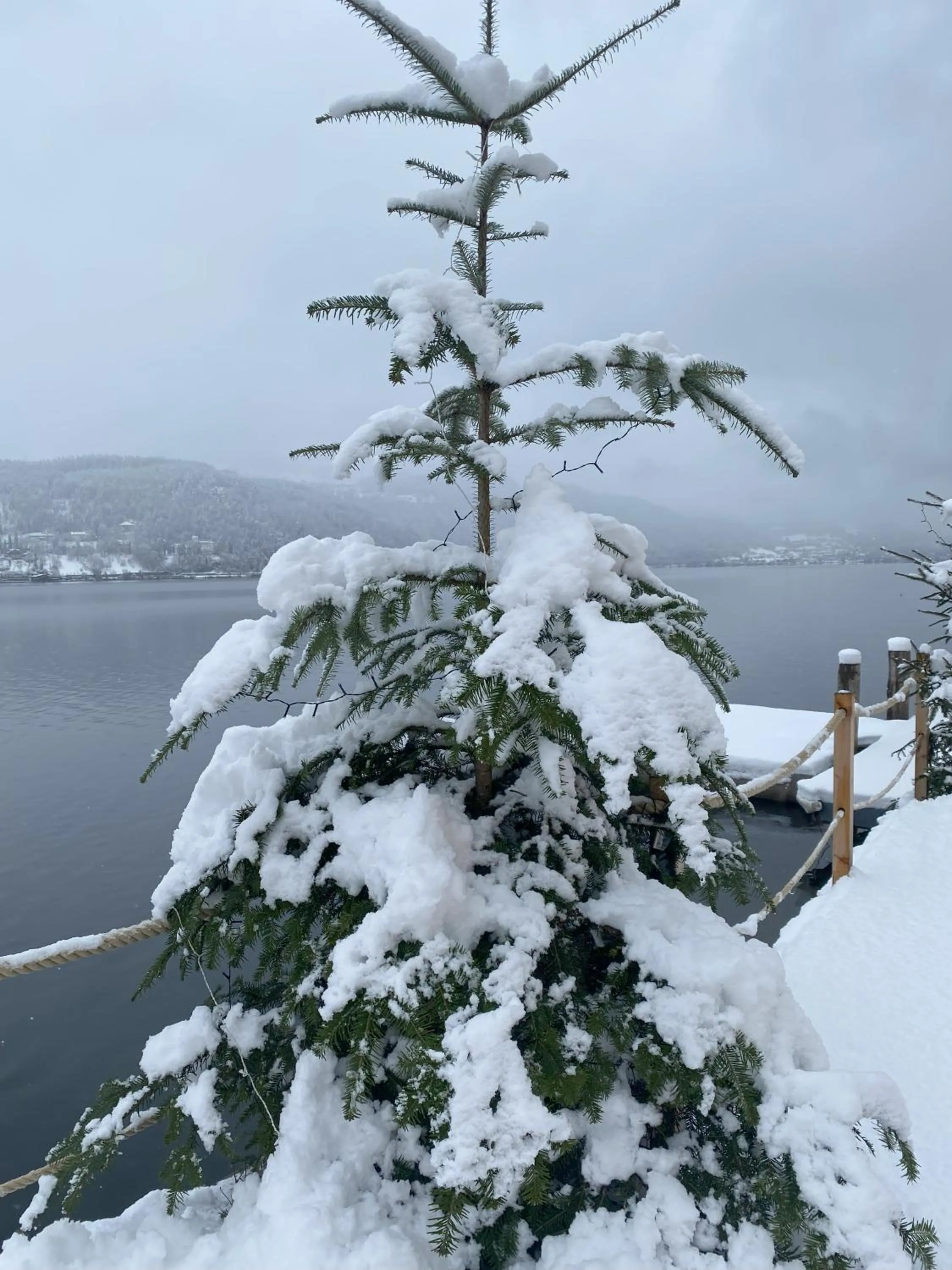 View (from property/room) in Kantor Village am Millstätter See - Boutique-Chalets und Lodges