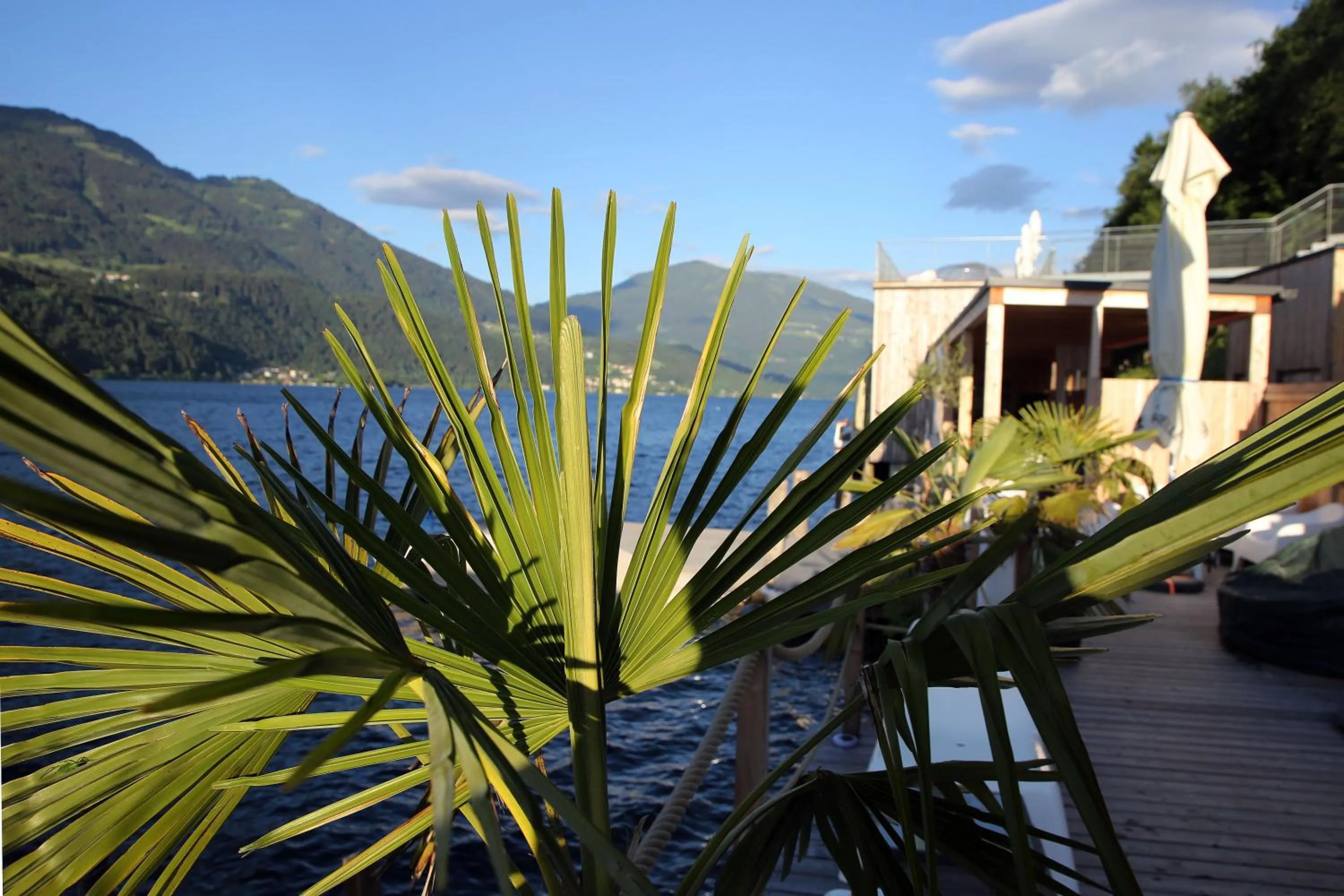 Property building in Kantor Village am Millstätter See - Boutique-Chalets und Lodges