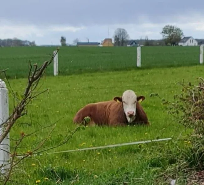 Property building in Hotel Stokkegaarden's BnB & Apartments