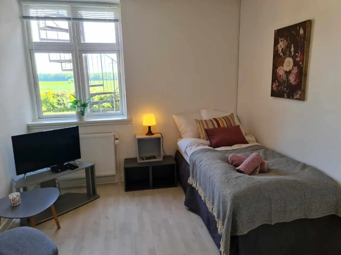 TV and multimedia in Hotel Stokkegaarden's BnB & Apartments