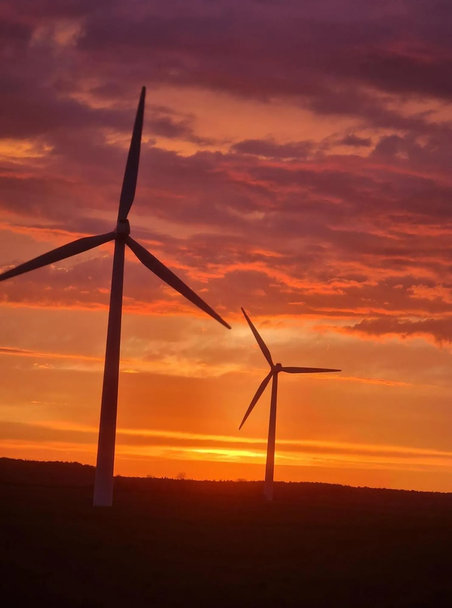 Garden view in Hotel Stokkegaarden's BnB & Apartments