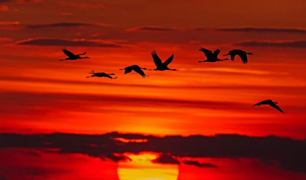 Natural landscape in Hotel Stokkegaarden's BnB & Apartments