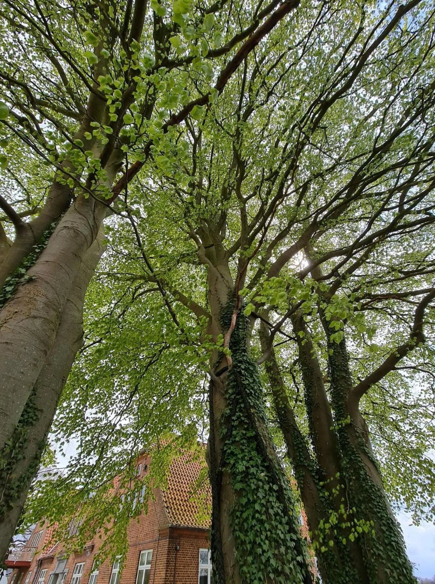 Natural landscape in Hotel Stokkegaarden's BnB & Apartments