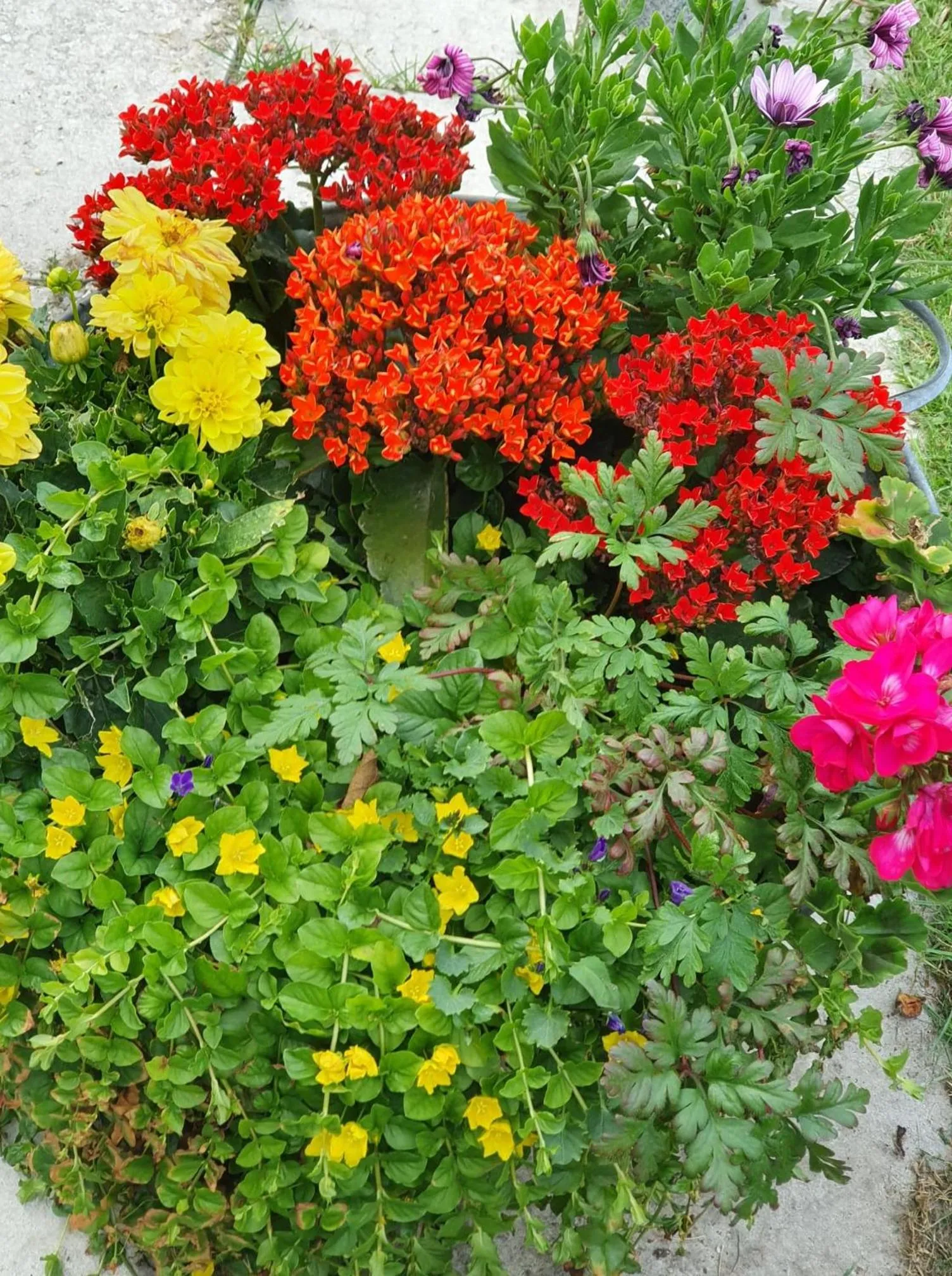 Garden in Hotel Stokkegaarden's BnB & Apartments