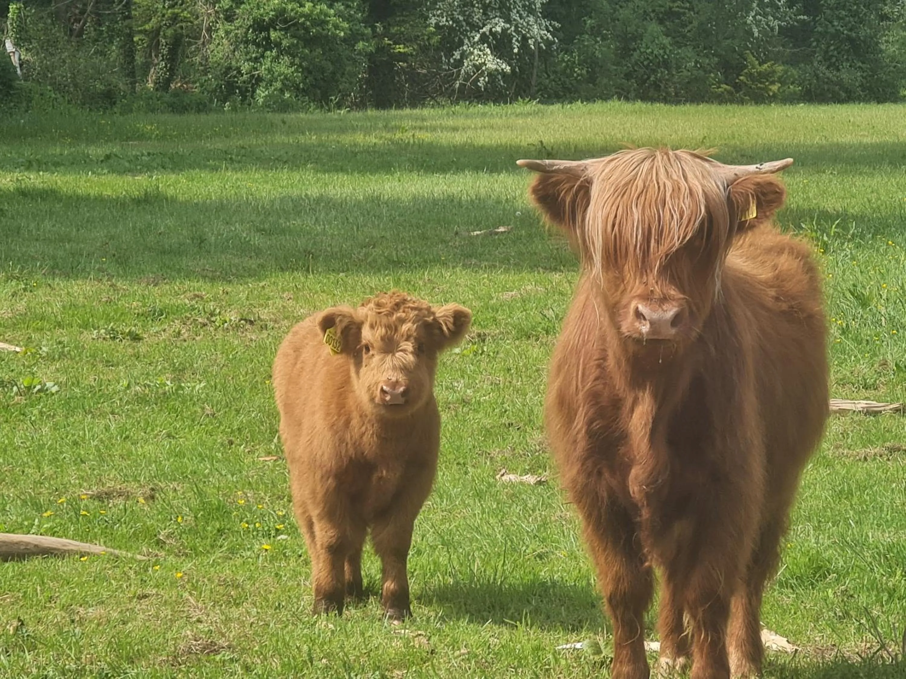 Day in Hotel Stokkegaarden's BnB & Apartments