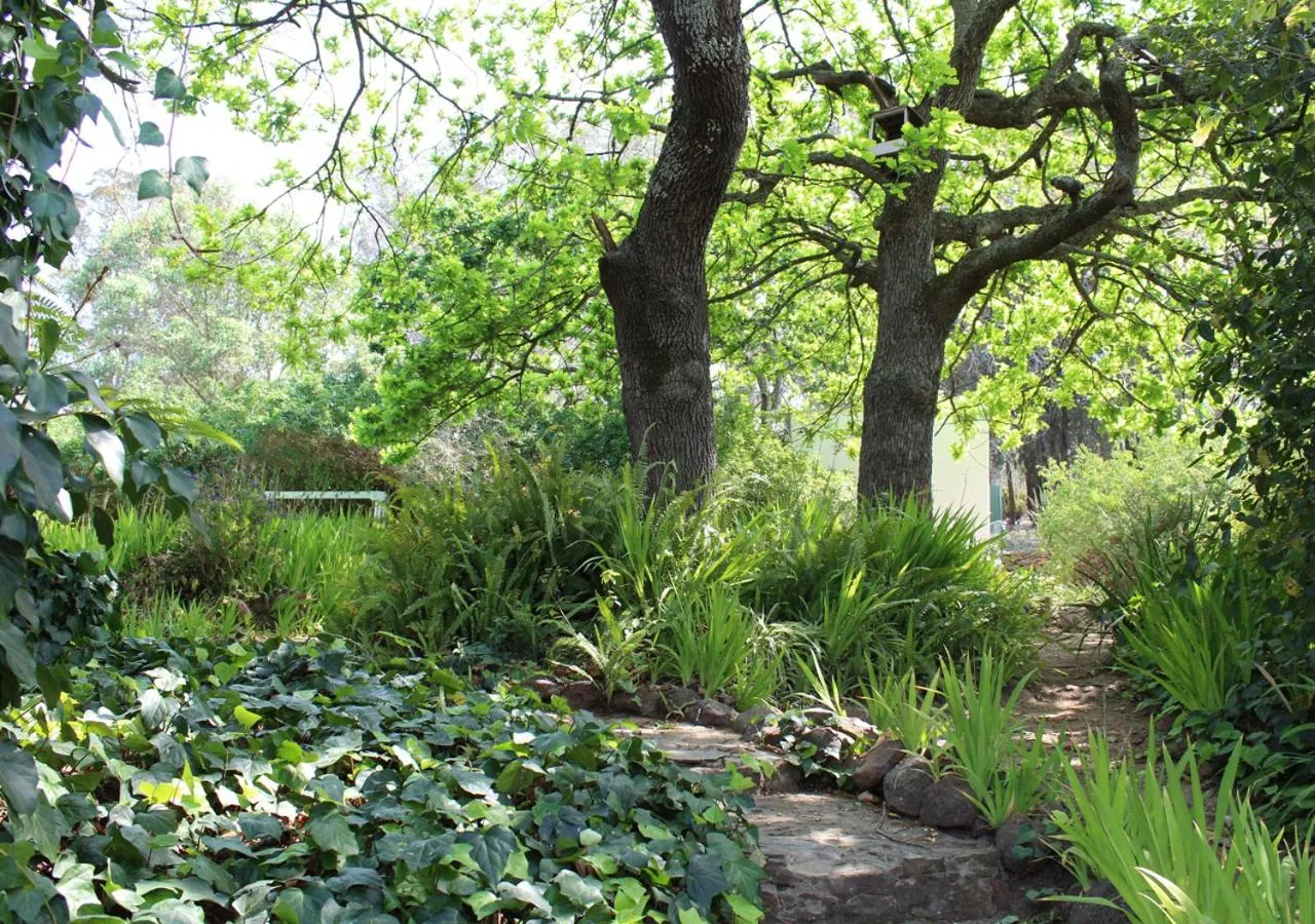 Garden in Moolmanshof 1798, Traditional Cape Dutch H-Shaped Farmhouse