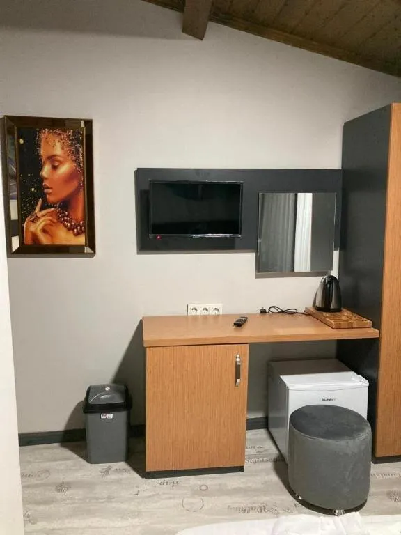 TV and multimedia in Victorious Hotel