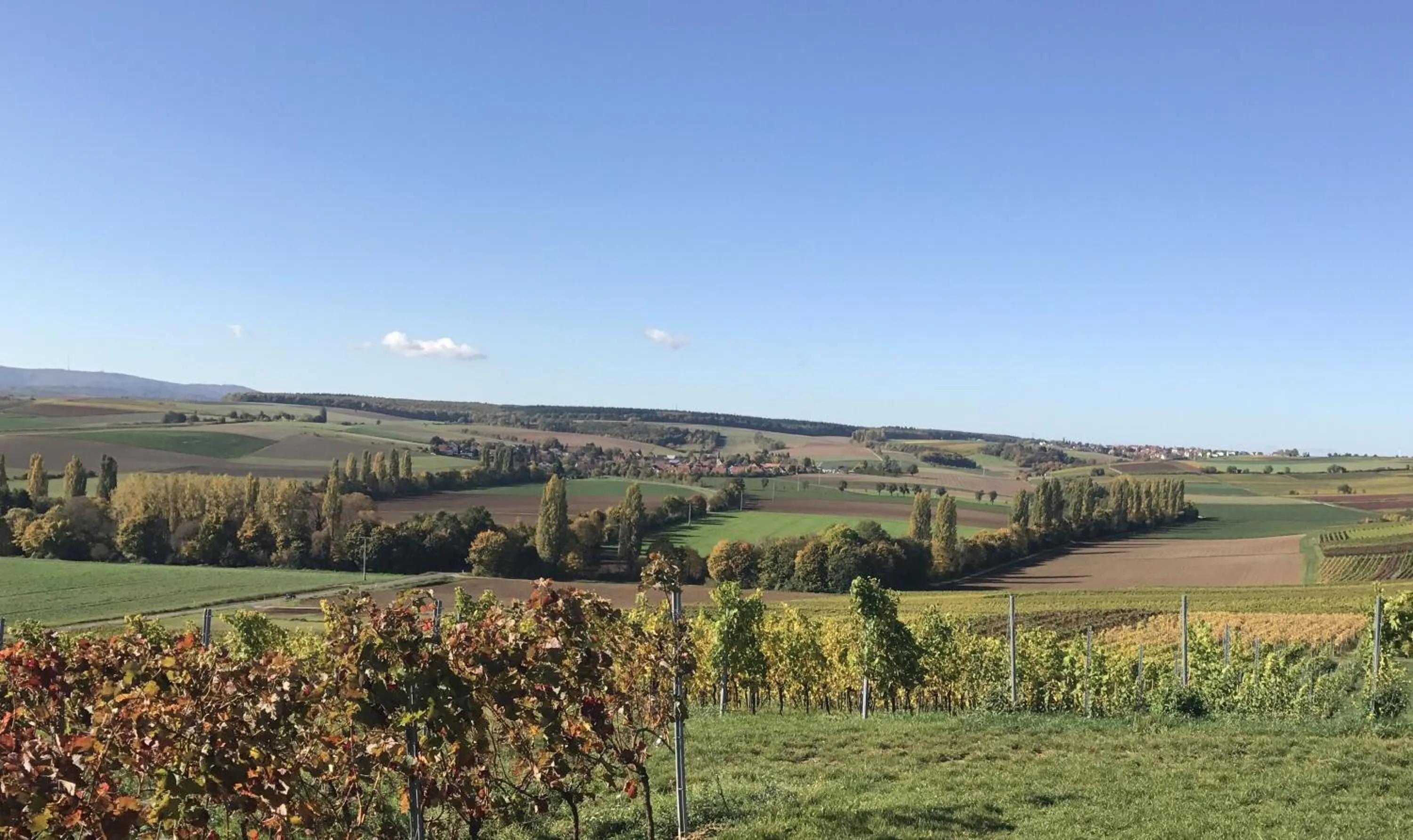 Pension und Weingut Hirschhof