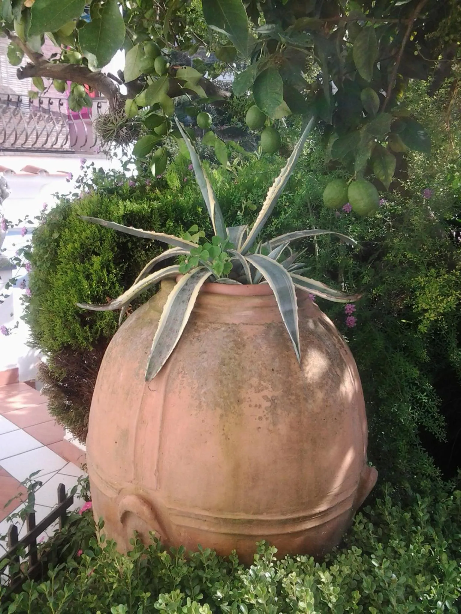 Garden in B&B Angelide