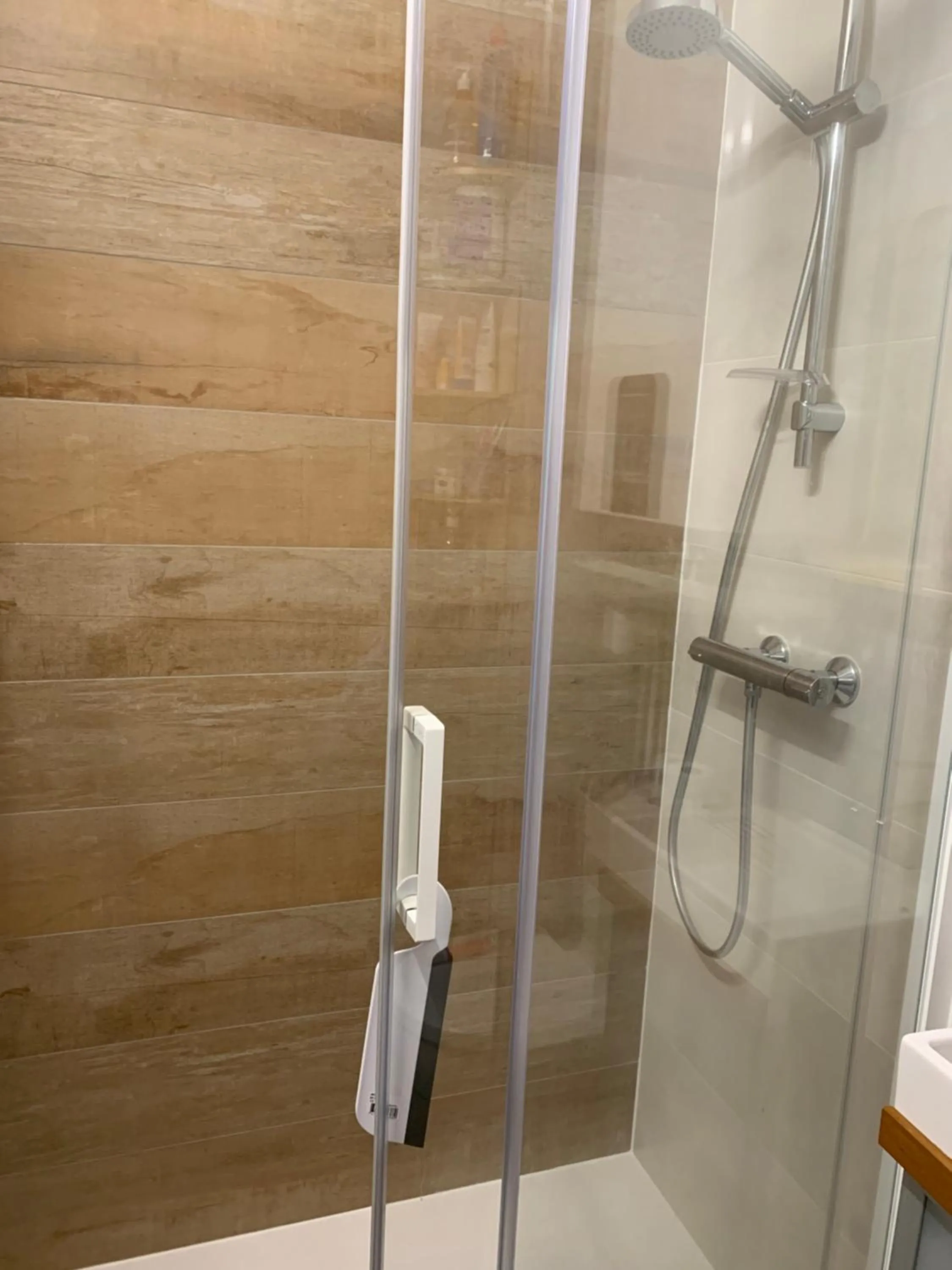 Bathroom in Studio cabine Piau-Engaly au pied des pistes