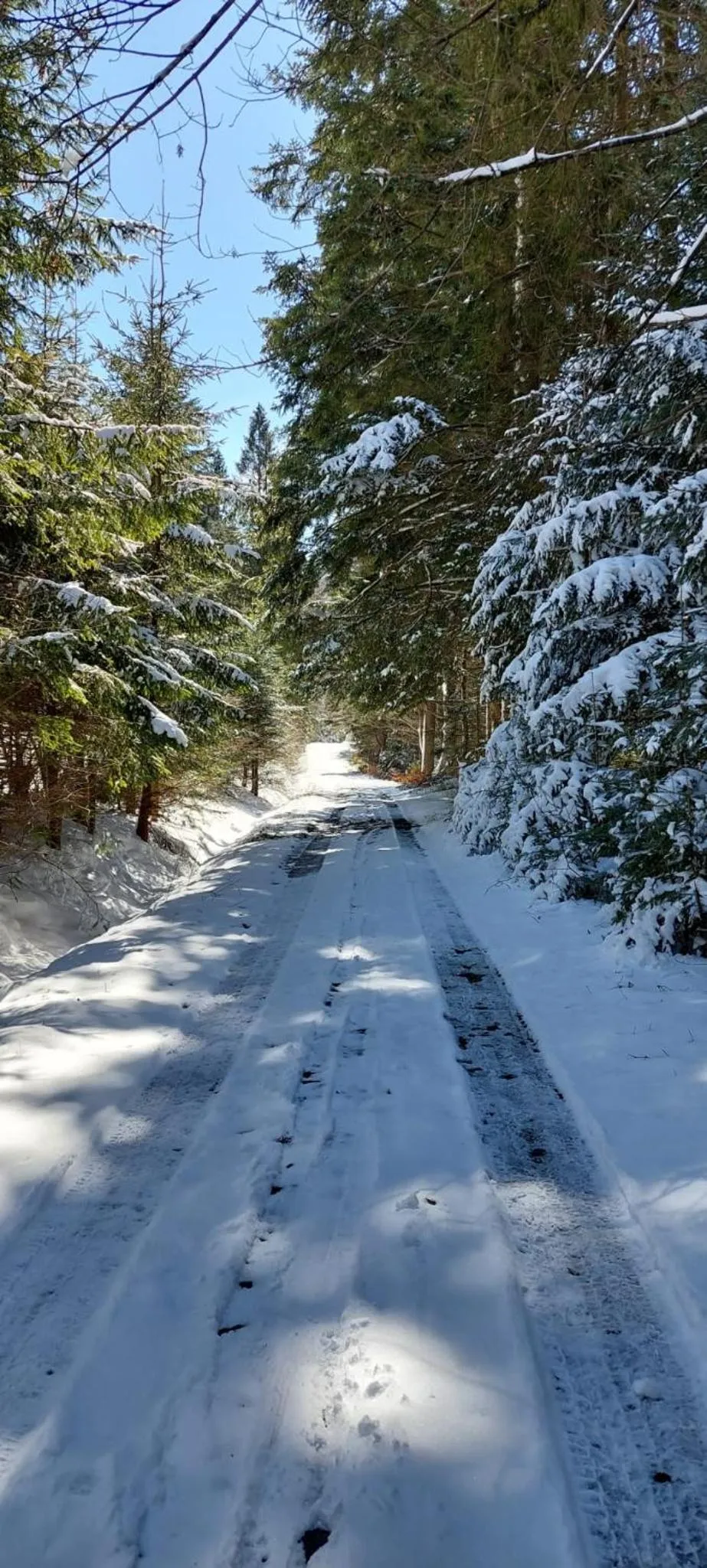 Winter in B&B Emarik