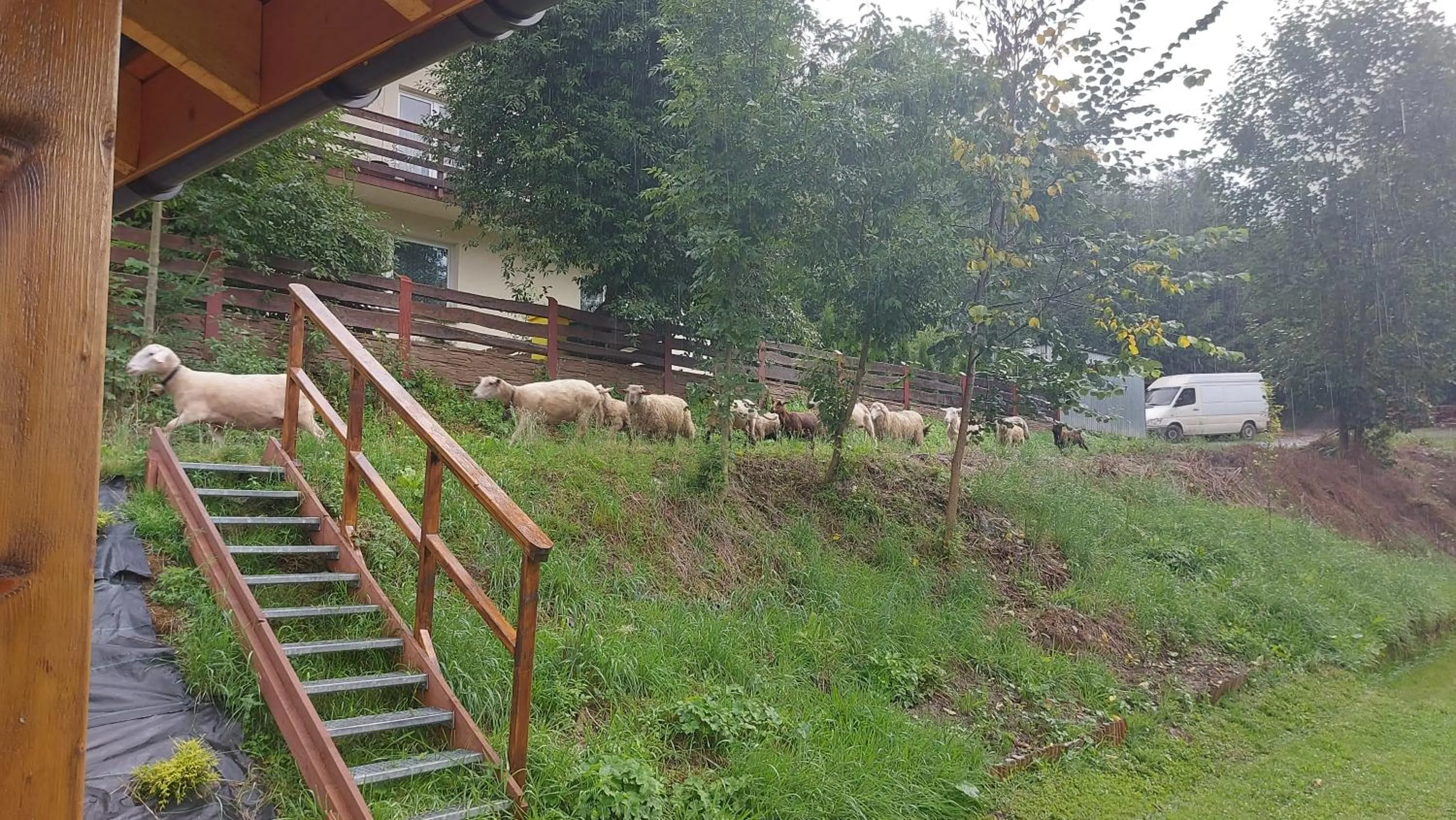 Garden in B&B Emarik