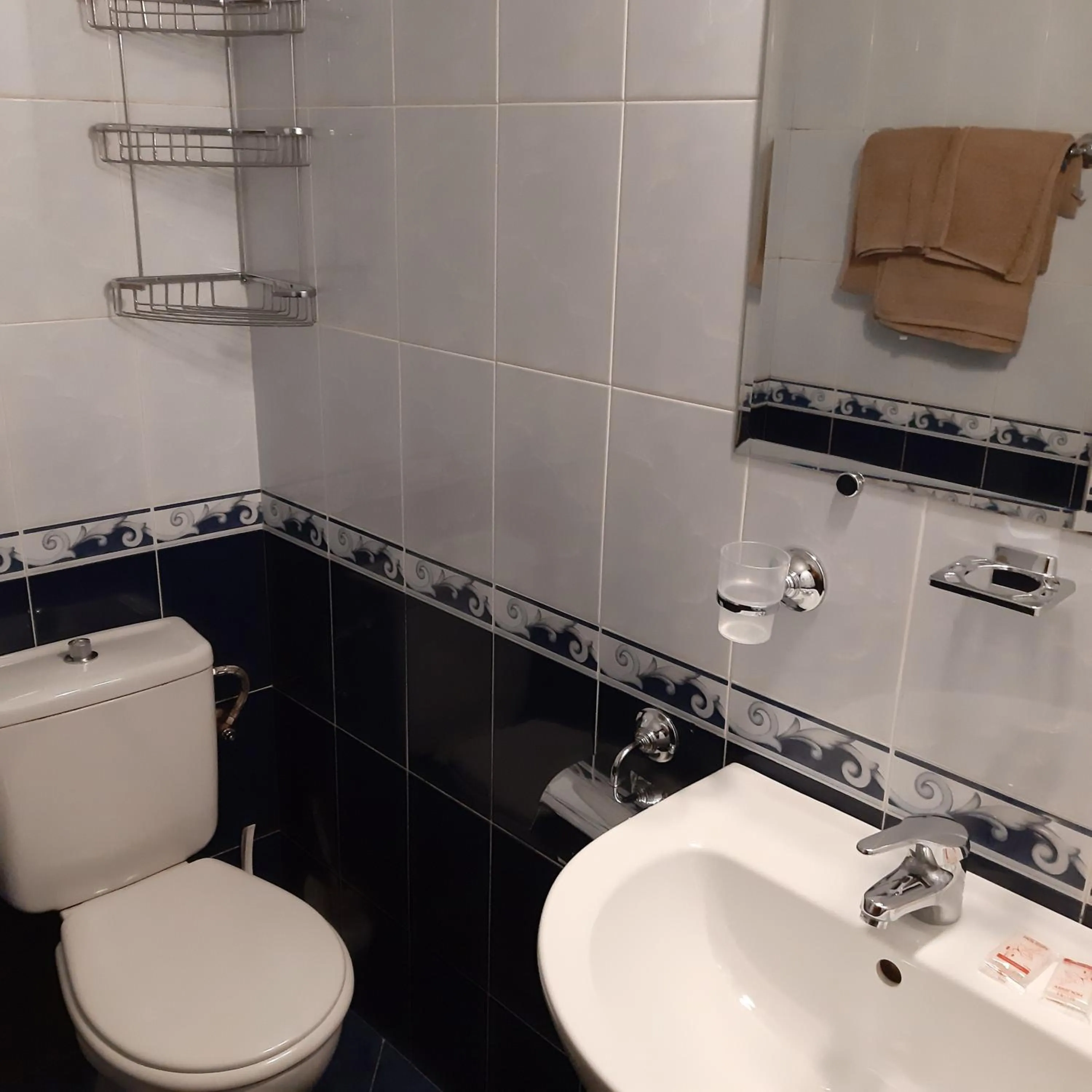 Toilet in Hadji Georgi Hotel