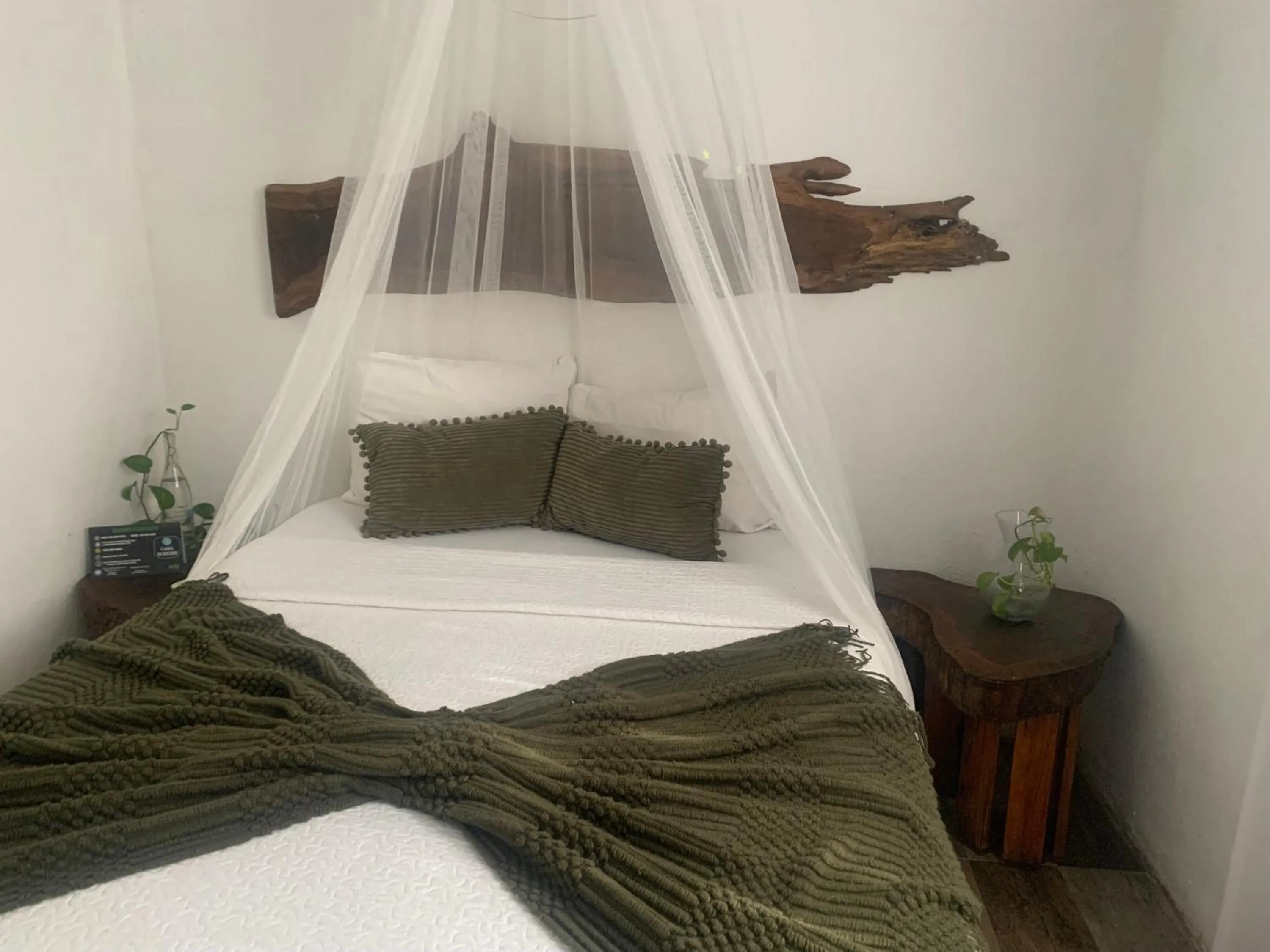 Photo of the whole room, Bed in Casa Borush by Ecoplaneta