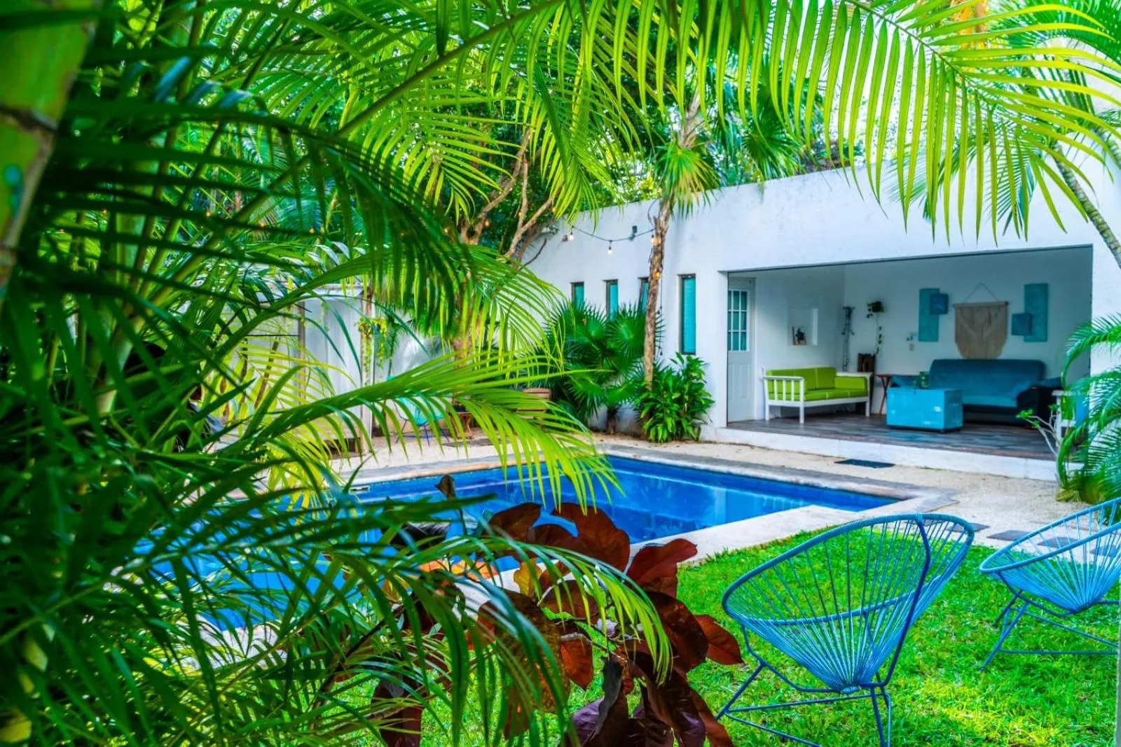Garden in Casa Borush by Ecoplaneta
