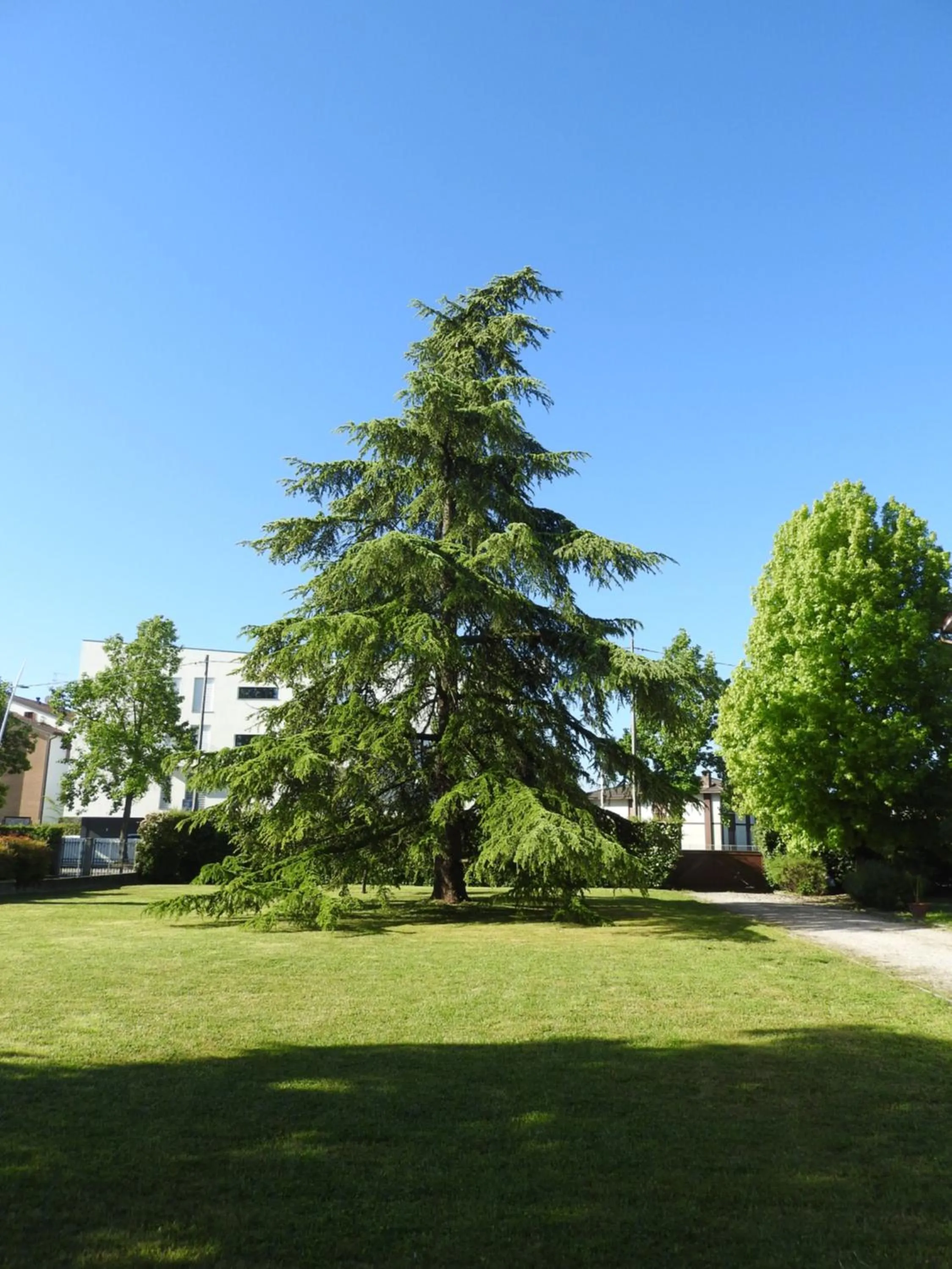 Garden in Villa Venezia