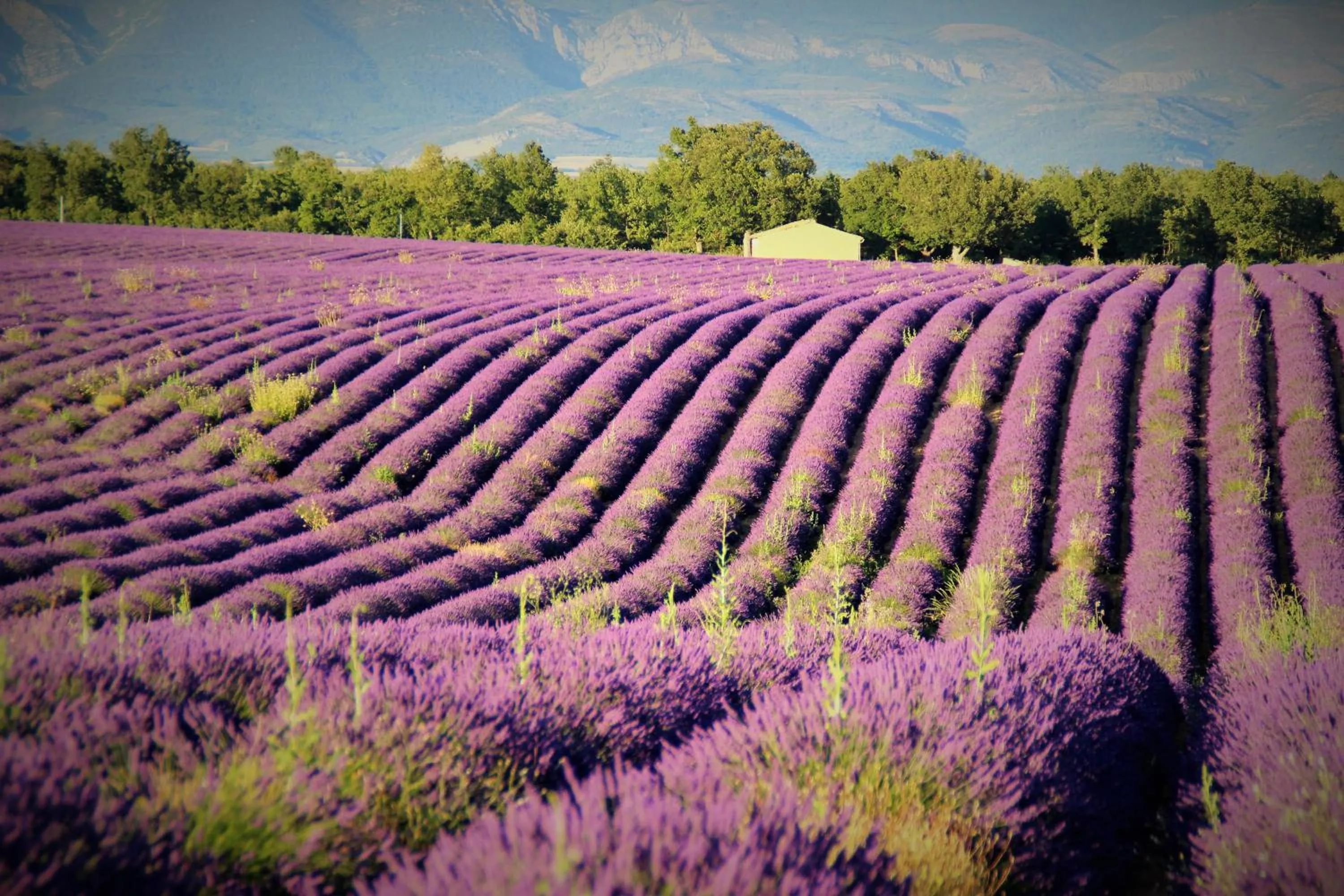 Natural landscape in Chambres d'hôtes Elisa & Etienne