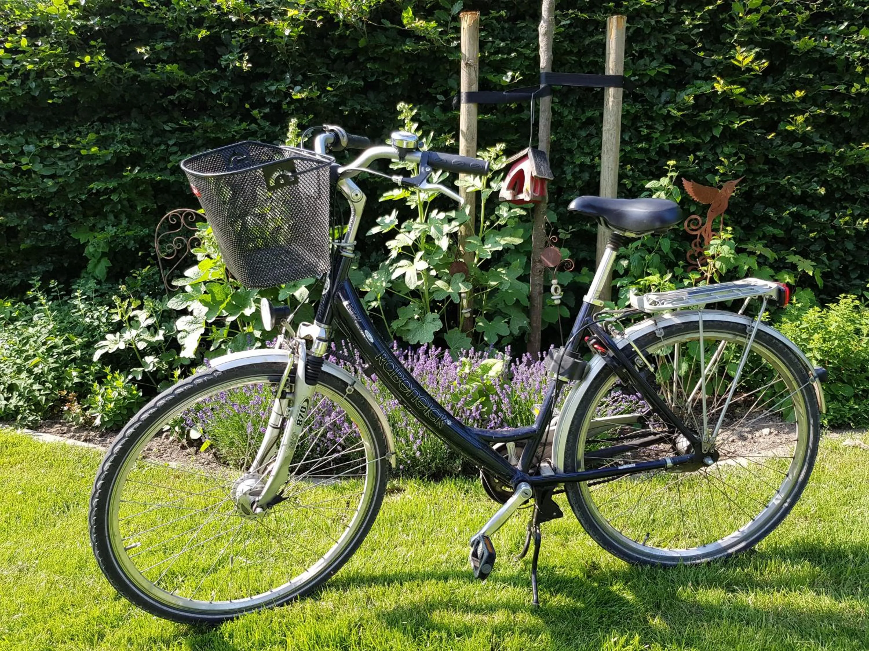 Cycling in Landhotel Hermannshöhe