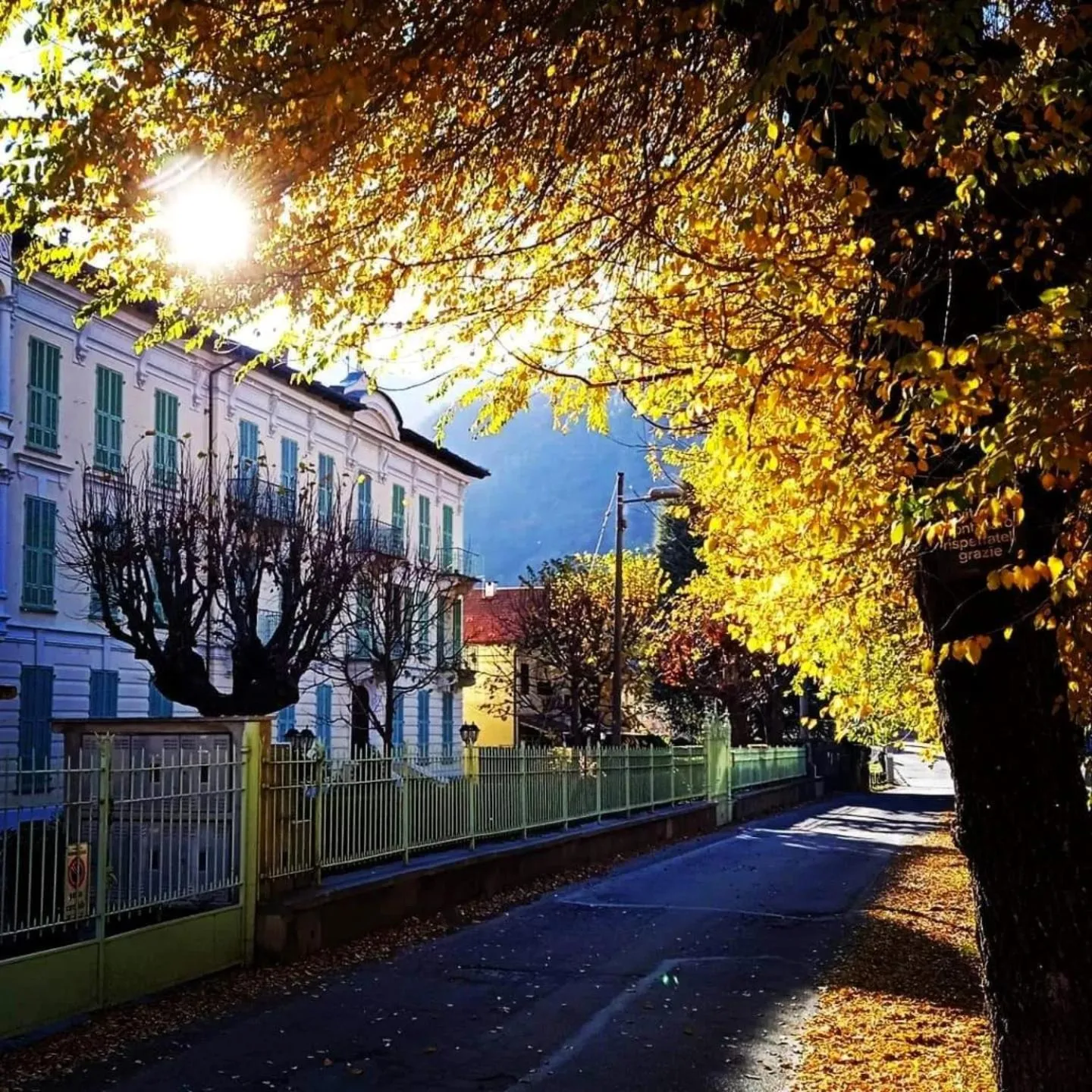 Neighbourhood in Medieval Hamlet Malpertus
