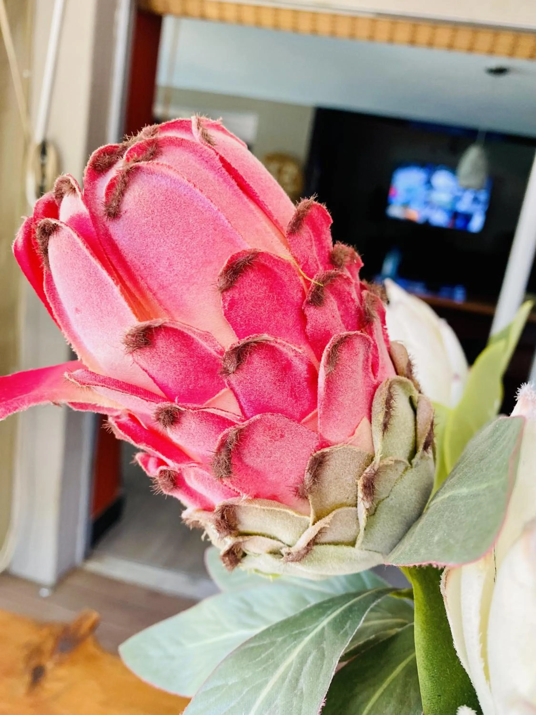 Decorative detail in Cottonwood Guesthouse Oasis