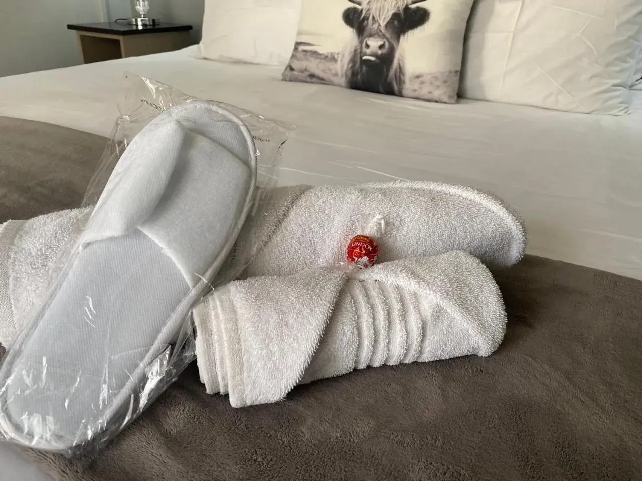 Family Room - single occupancy in Cottonwood Guesthouse Oasis Family Room - single occupancy in Cottonwood Guesthouse Oasis