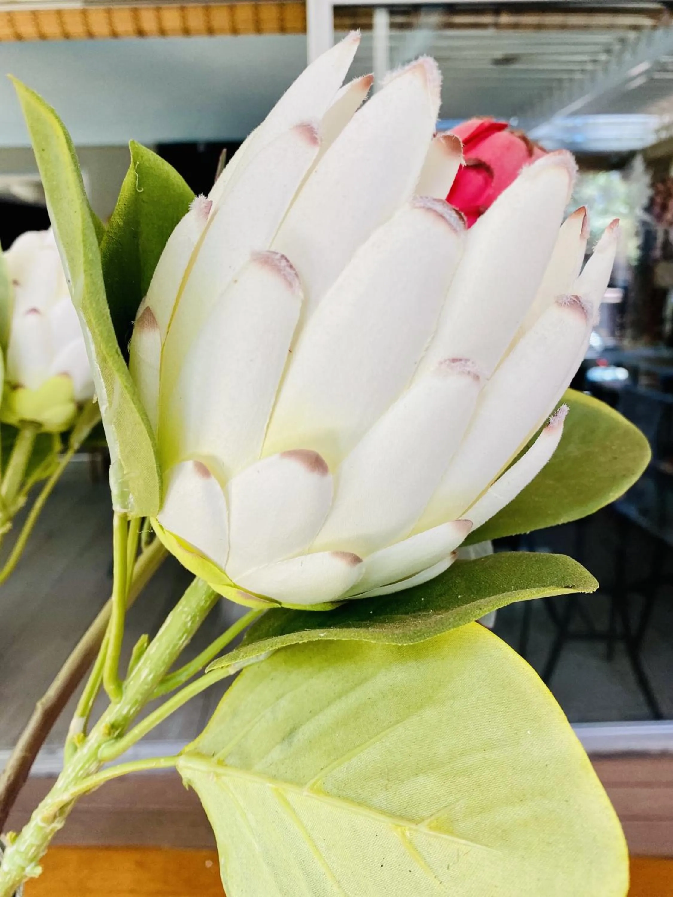 Breakfast in Cottonwood Guesthouse Oasis