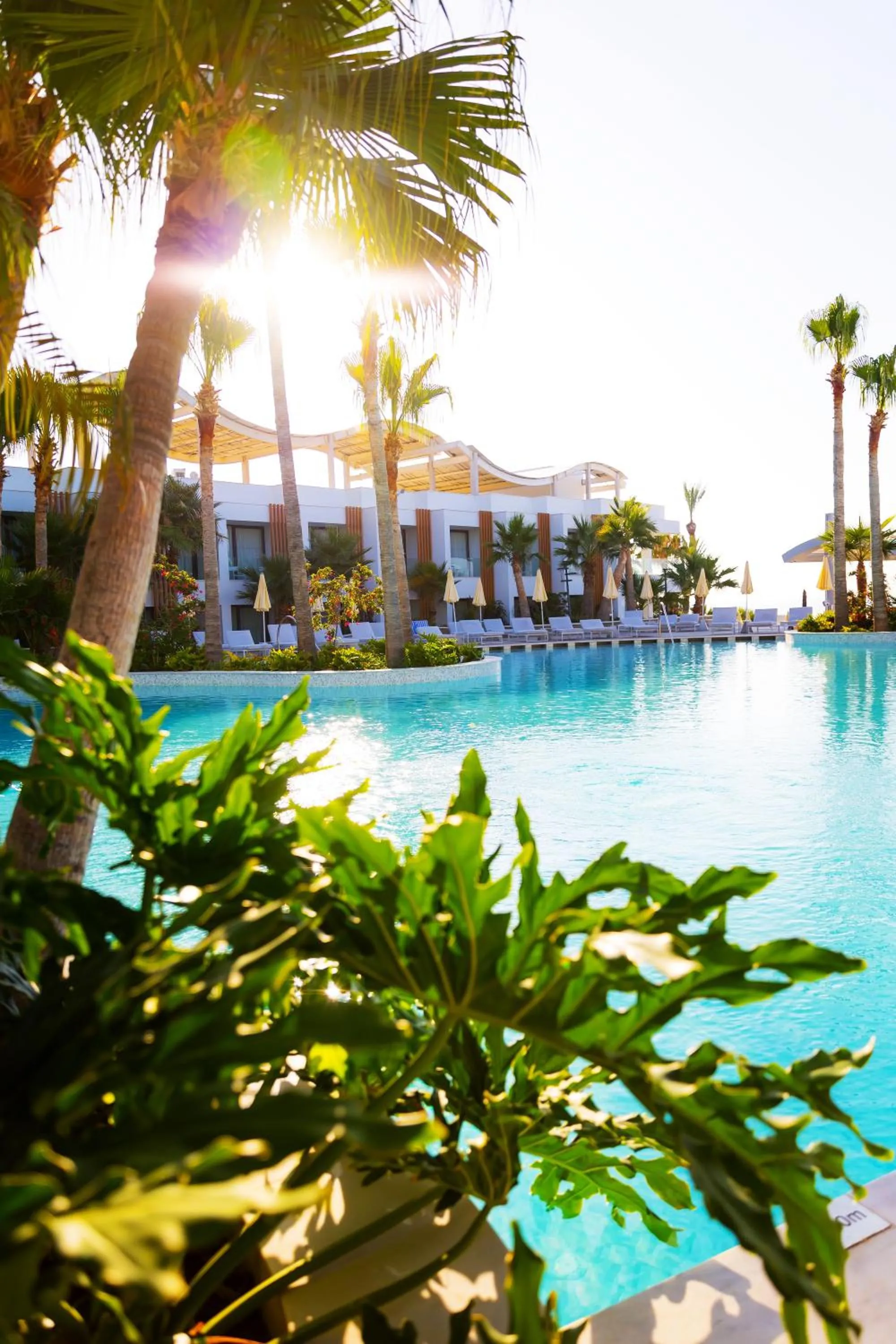 Pool view in Radisson Beach Resort Larnaca